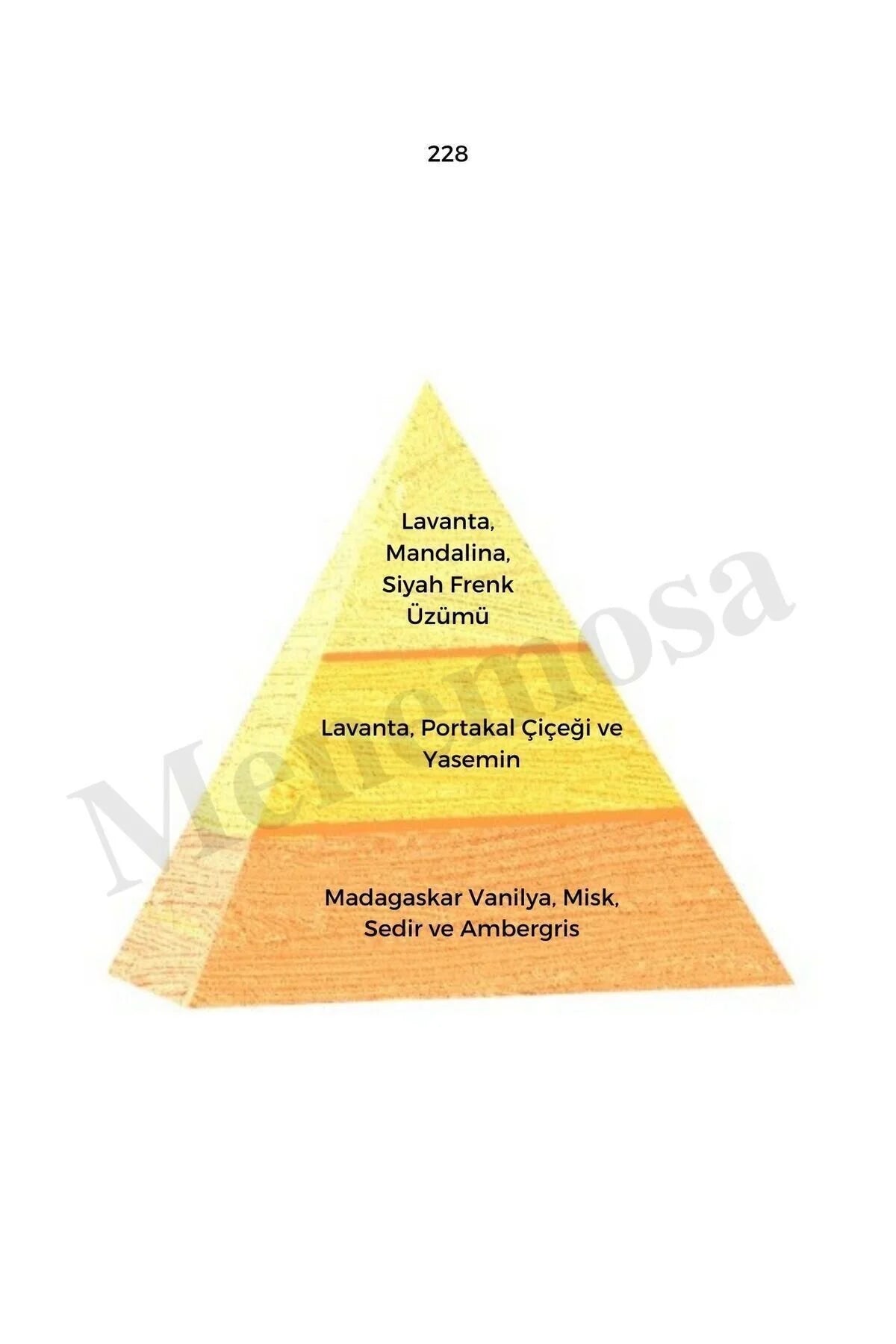 Bargello No: 228 Damesparfum - Oriental Bloemig Eau de Parfum - Langhoudende Geur - 50 ml