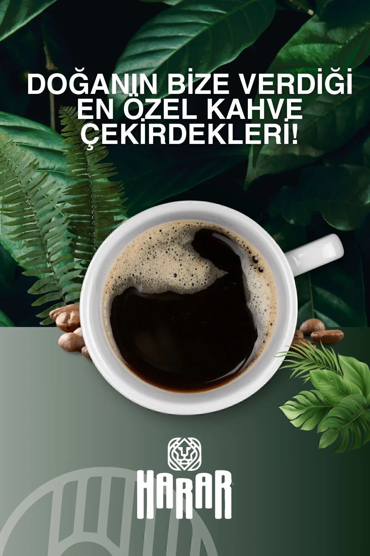 HARAR Hindiba Coffee Cichorei Koffie Dieet Detox helpt om af te vallen en oedeem te verlichten 1 Maand (60 GEBRUIKEN) Netto 150gr