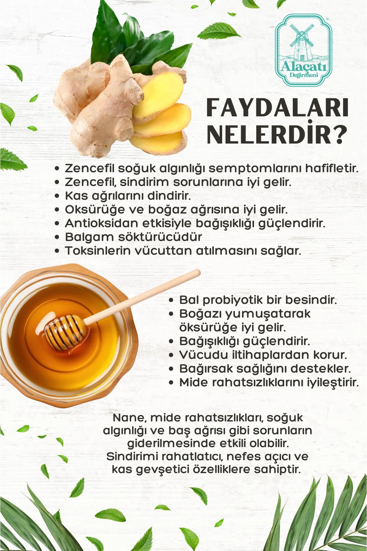 Alacati Winter Ginger Shot - 1 fles van 250 ml