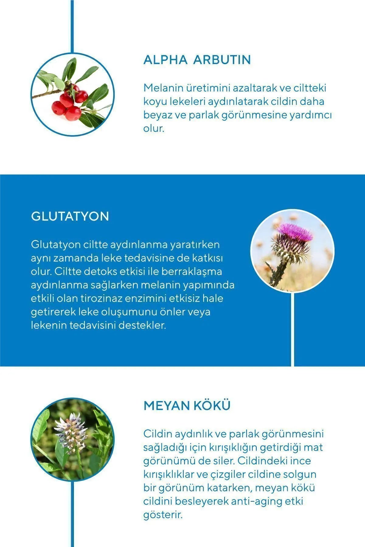 MiChael Lauren Skin Whitening Cream - Alpha Arbutin - Anti Dark Spot - For Face Body - Huidverhelderende Verhelderende Glutathion Anti-vlek Hydraterende Crème Zoethoutwortelextract - 50 ml