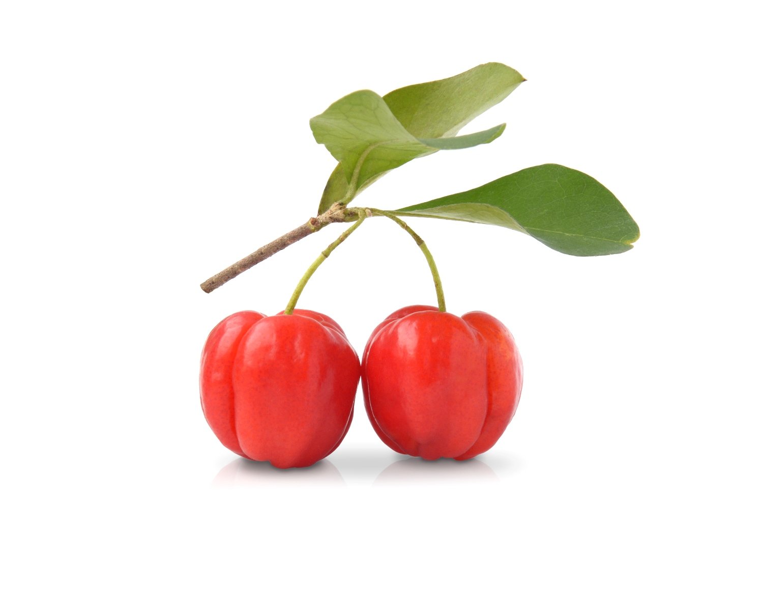 ACEROLA