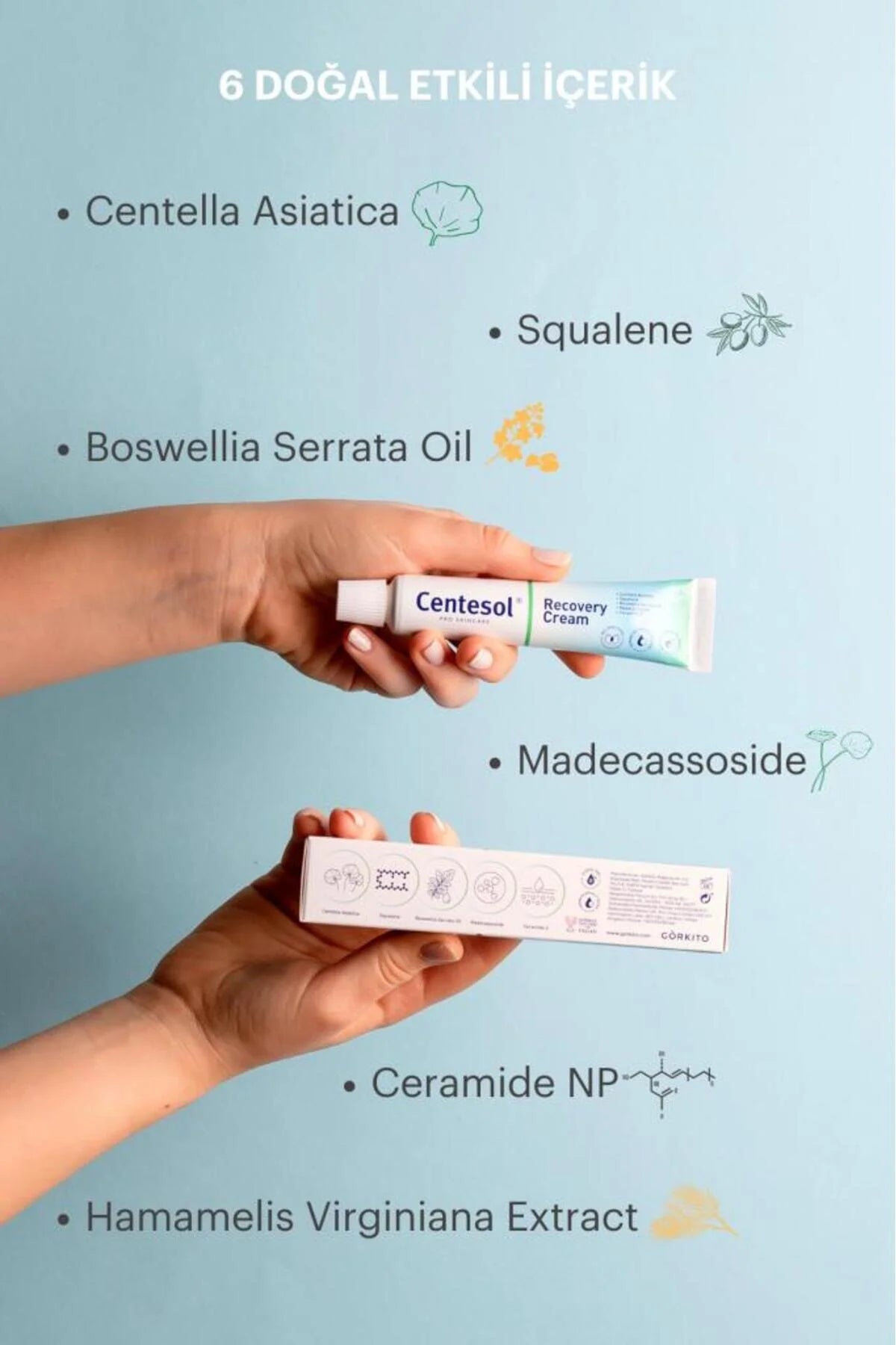 Centesol Recovery Cream 30g | Herstelcrème met Centella Asiatica, Ceramiden & Squalaan voor Gevoelige Huid