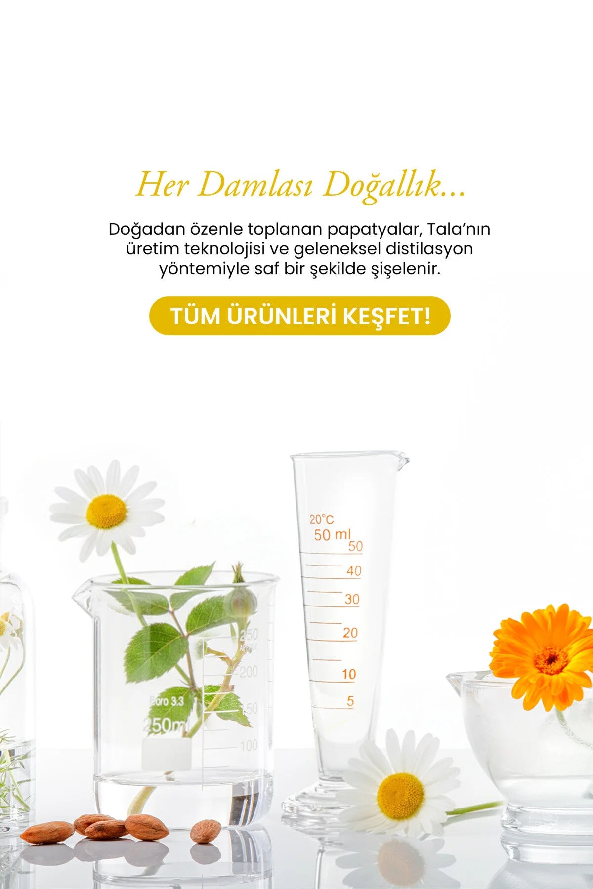 Tala Chamomile Water Tonic 100ml