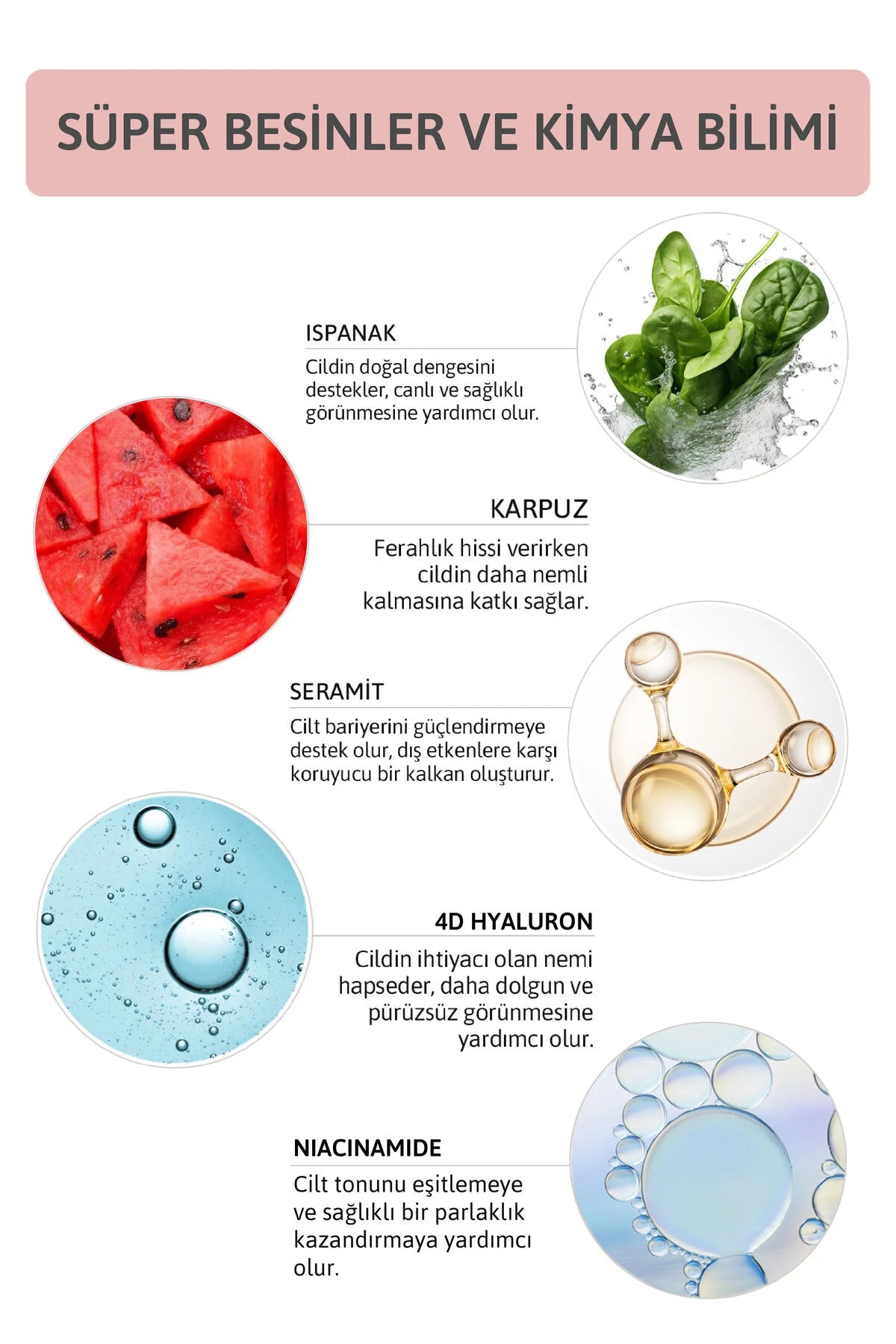 Ornate Repair Moisturizer Cream - Hydraterende & Verhelderende Gezichtscrème op waterbasis - Watermeloen - Spinazie - Ceramide - Peptiden - Niacinamide & 4D Hyaluronzuur - Alle huidtypen -50 ml