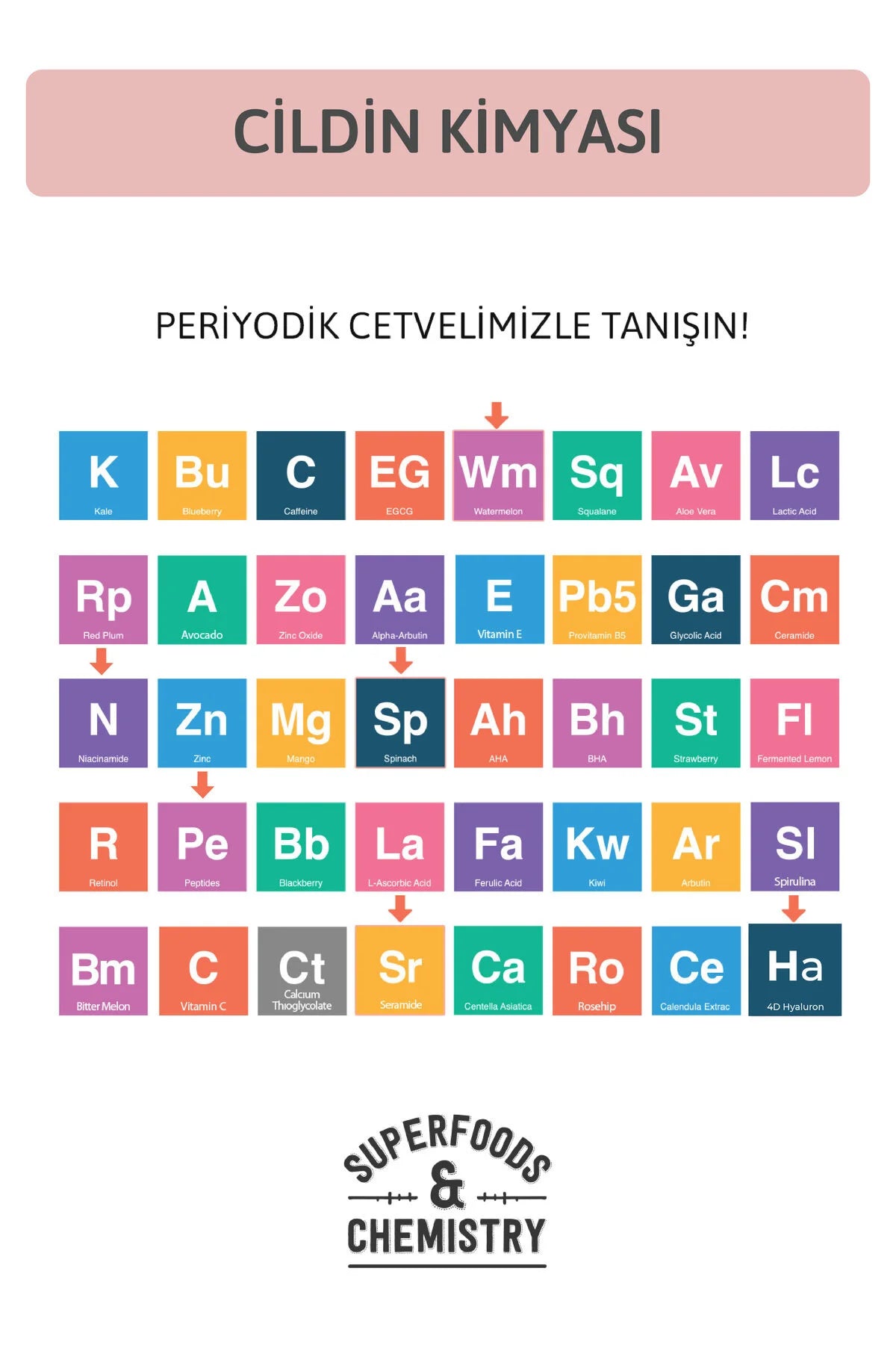 Ornate Repair Moisturizer Cream - Hydraterende & Verhelderende Gezichtscrème op waterbasis - Watermeloen - Spinazie - Ceramide - Peptiden - Niacinamide & 4D Hyaluronzuur - Alle huidtypen -50 ml