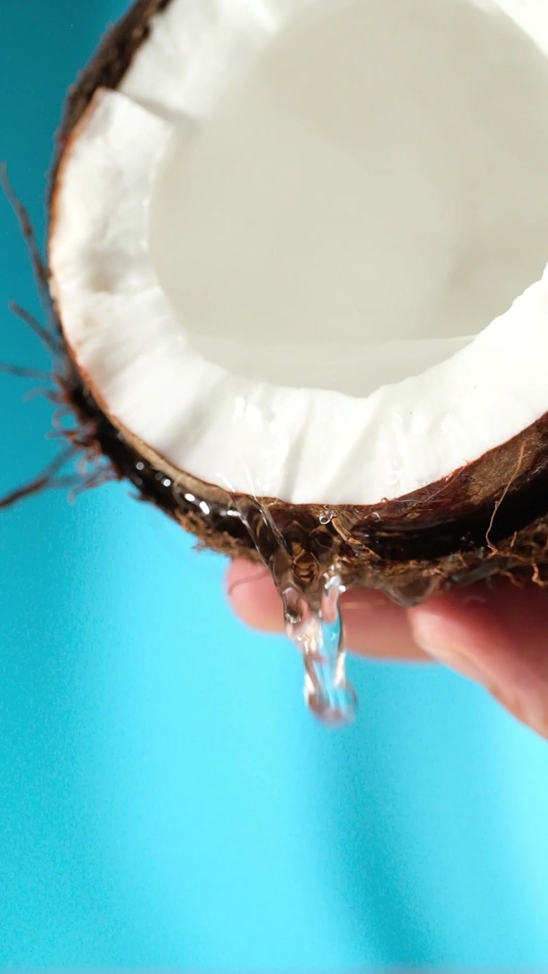 Momordica Coconut Mix - Verfrissende Kokosdrank met Groene Thee / Chia & Quinoa / Sandalozhars & L-Carnitine - 1 Fles van 250 ml