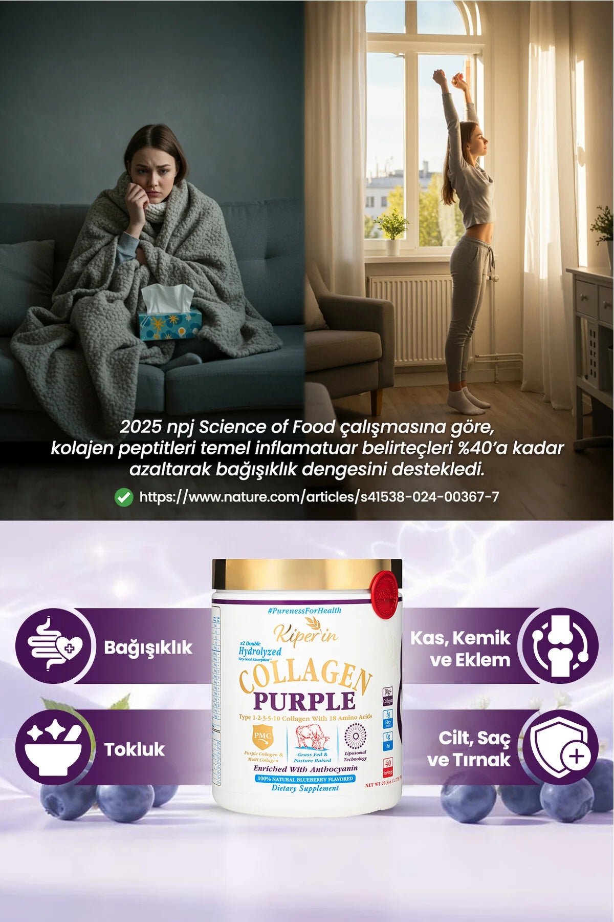 Kiperin Purple Collagen-576gr