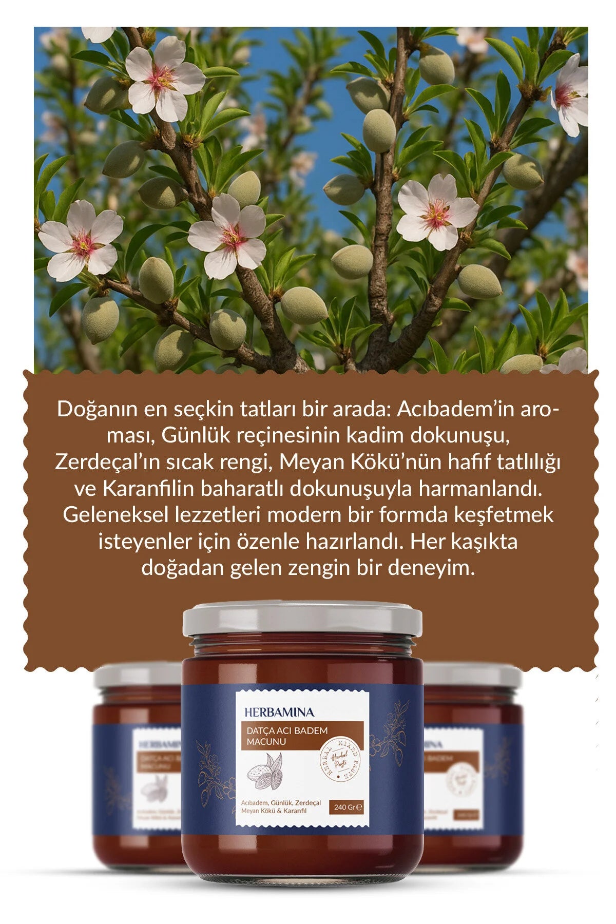 Herbamina Datça Bittere Amandel Kruidenpasta – Met Mastiek, Ginseng, Kurkuma, Zoethout & Kruidnagel – 240 g