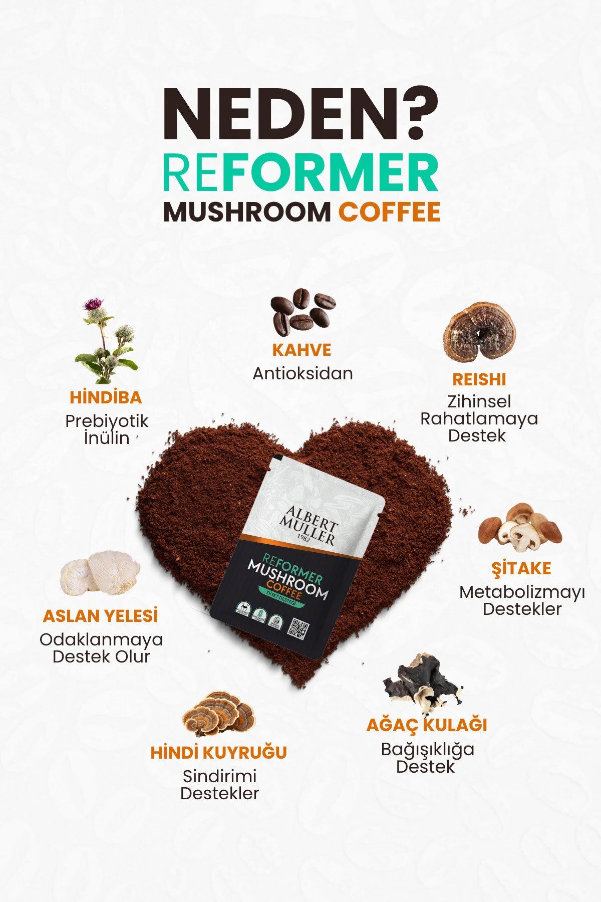Albert Muller Koffie - Reformer Mushroom Coffee - Cichoreikoffie met 5 Paddenstoelenextracten - Suikervrije / Prebiotische Instant Coffee - Dieetvriendelijk - 30 Sachets