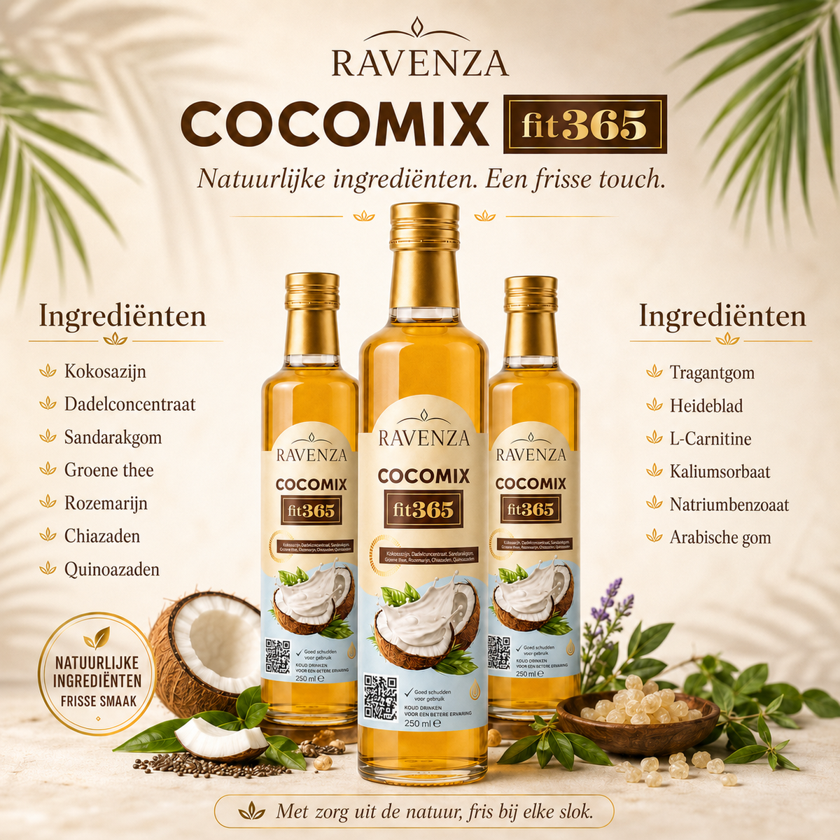 Ravenza Cocomix Fit365 – Kokosdrankconcentraat met Groene Thee, Chiazaad, Quinoa, Rozemarijn & L-Carnitine – 250 ml
