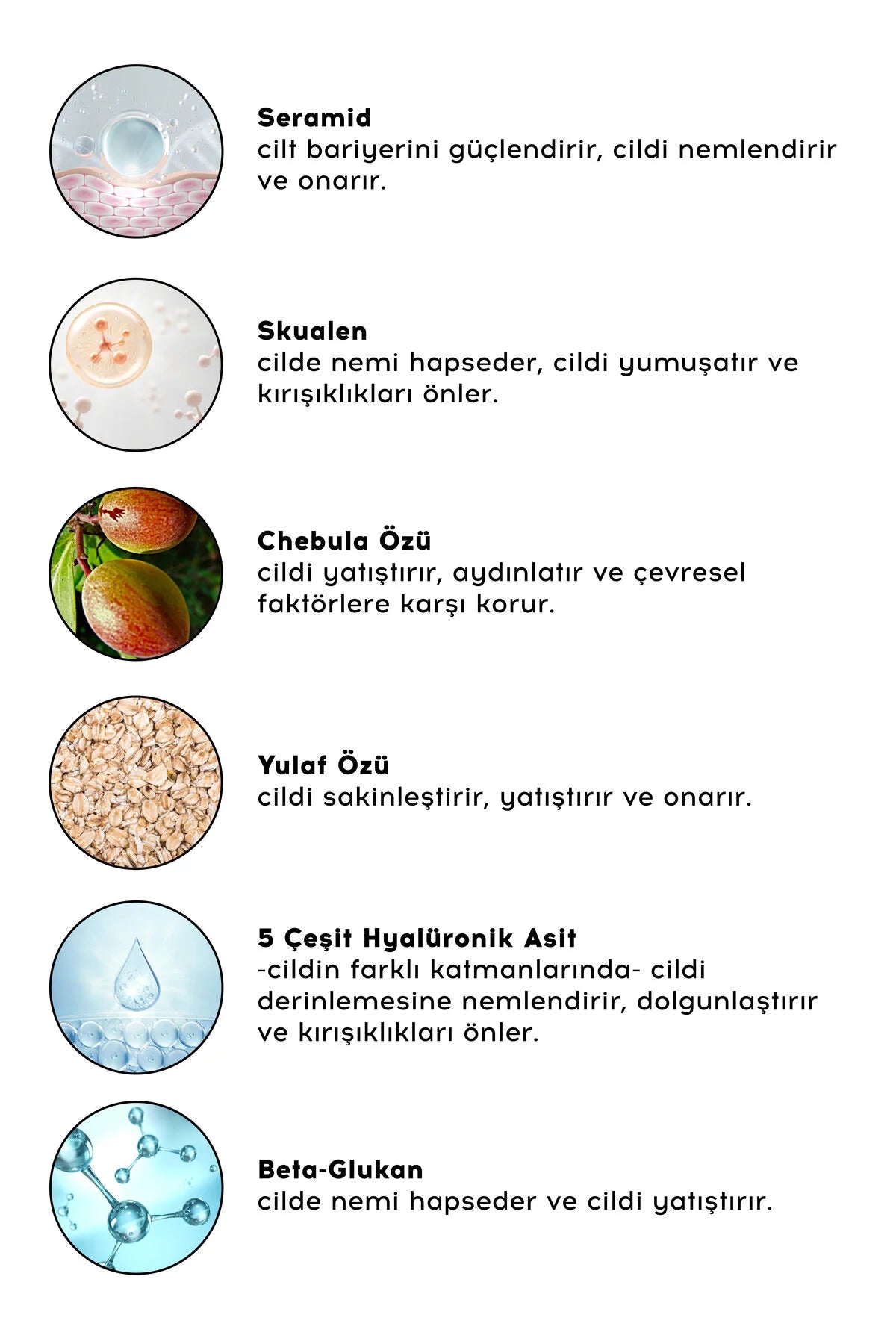 cream co. Cloud Moisturizer – Gezichtscrème met 5 Soorten Hyaluronzuur, Ceramiden & Squalane – 50 ml