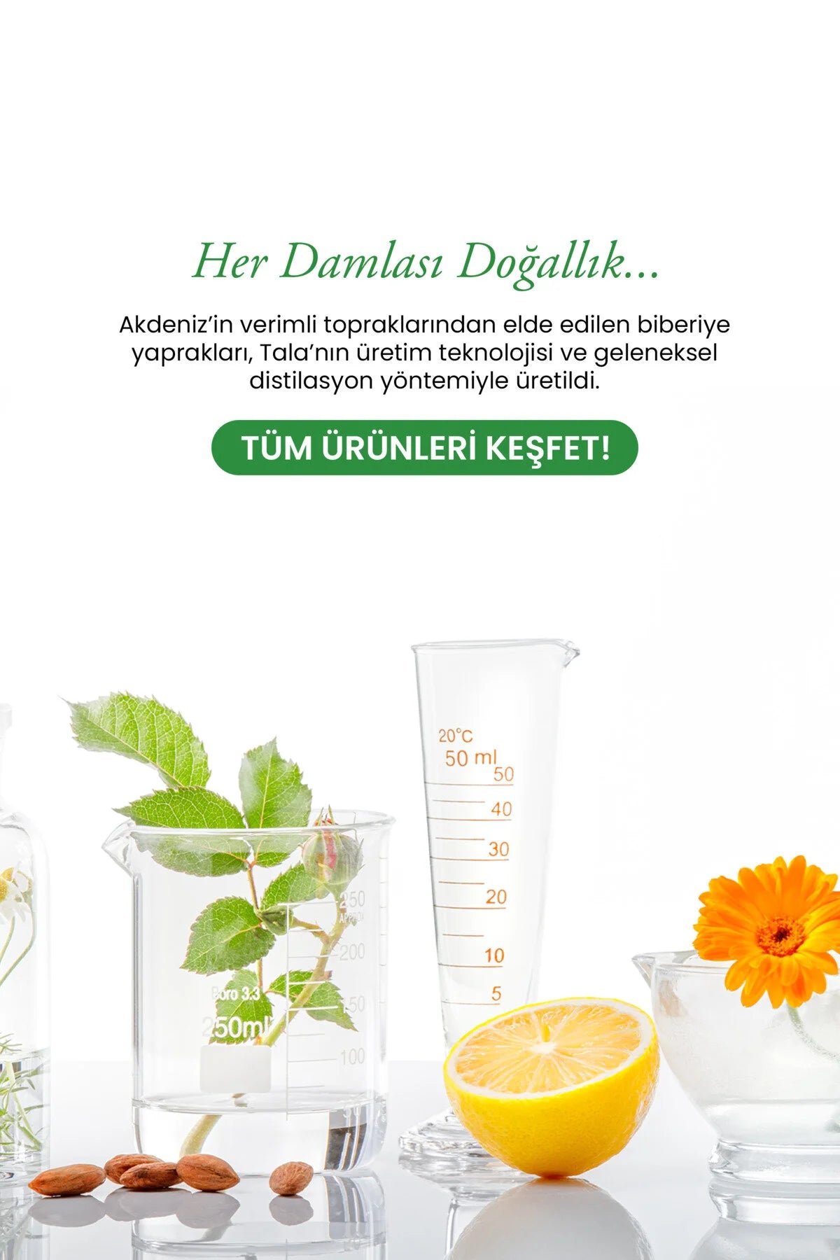 Tala Rosemary Water Toner 100ml