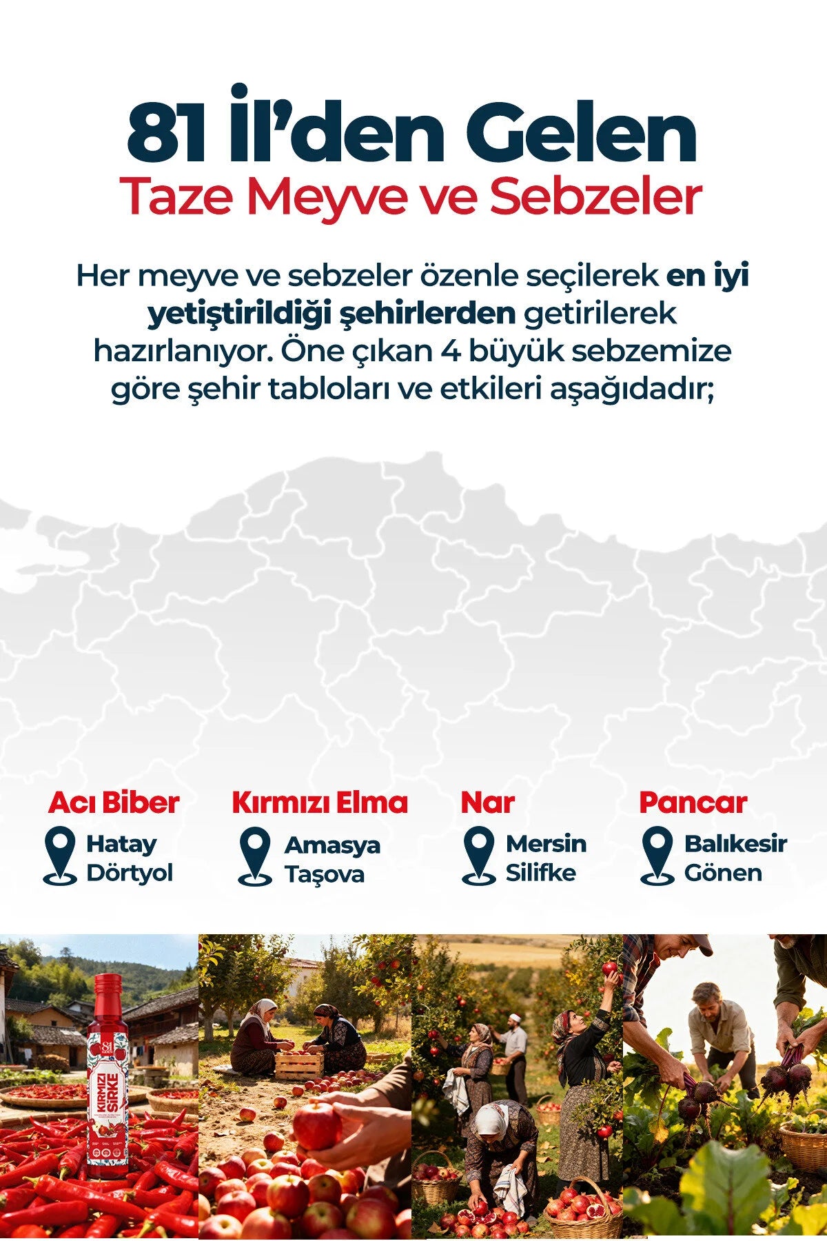 81 İlden Kırmızı Sirke (Roode Azijn)Elma Nar Acı Biber Pancar 250ml