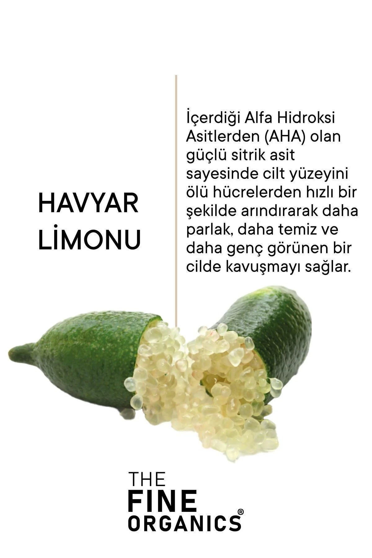 The Fine Organics Australian Caviar Lime Peeling 100ml – Exfoliërende & Verhelderende Peeling