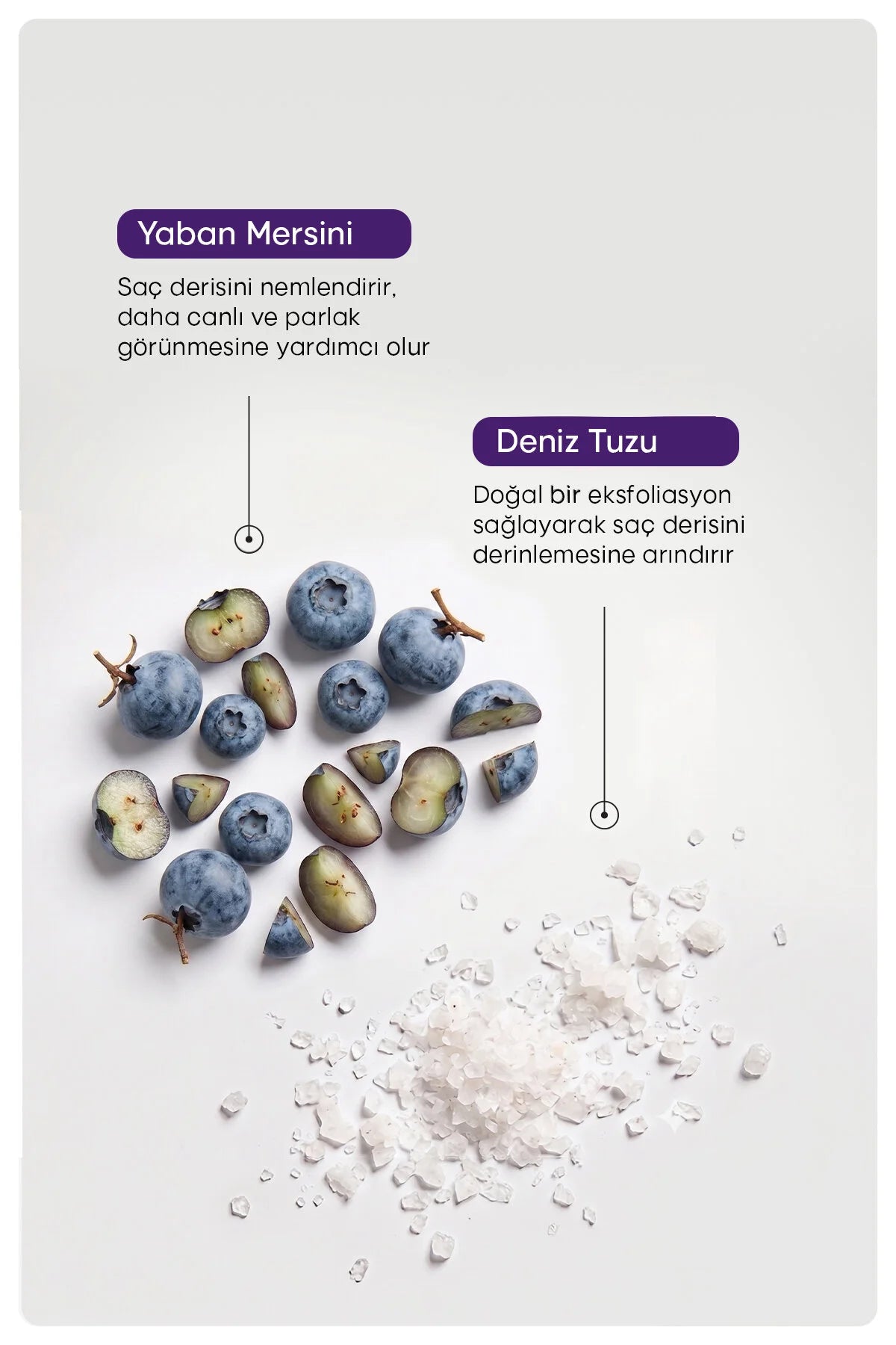Rivance Blueberry Hair Scrub 300 g – Diep Reinigende Hoofdhuid Scrub met Zeezout & Bosbessenextract