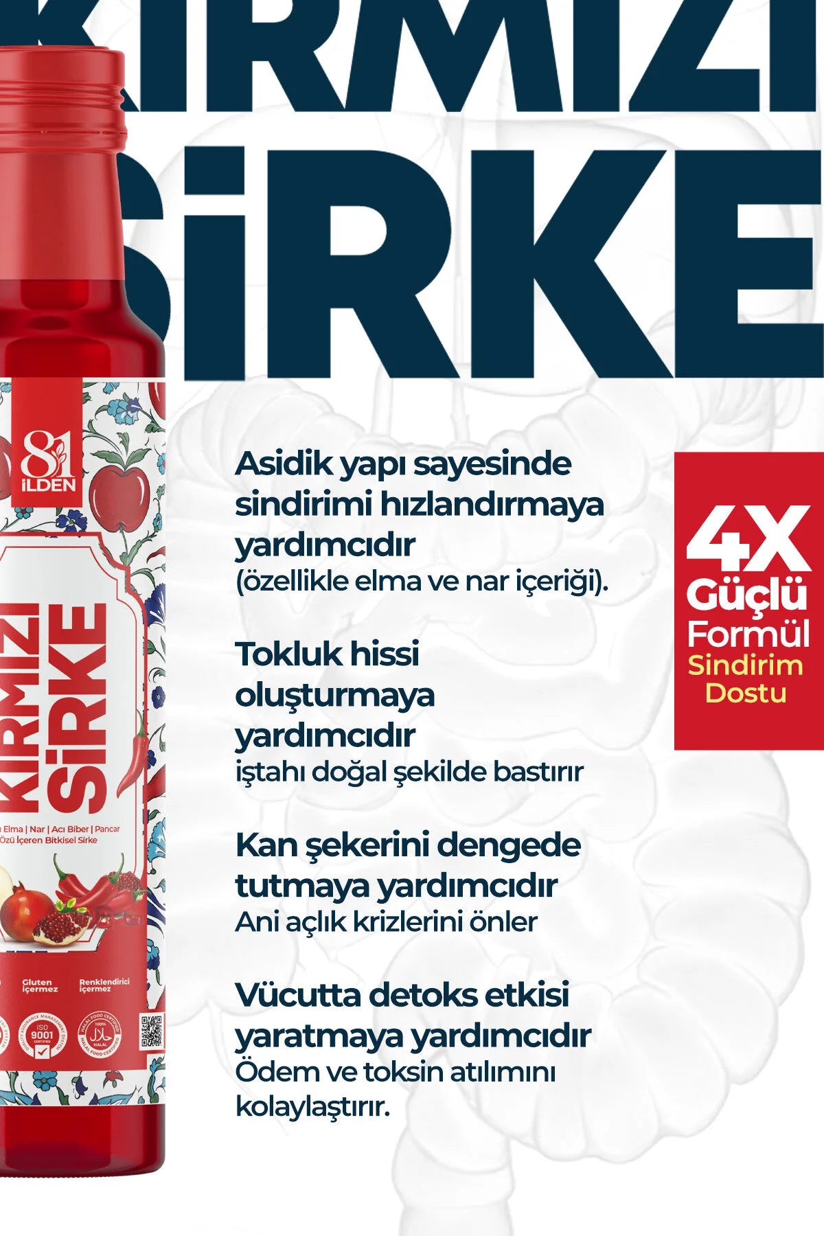 81 İlden Kırmızı Sirke (Roode Azijn)Elma Nar Acı Biber Pancar 250ml