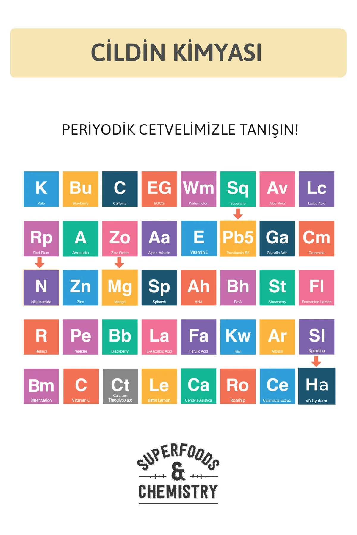 Ornate Oil Control Moisturizer Cream - Hydraterende crème op waterbasis - Herstellend - Verzachtend - Mango - Niacinamide - Provitamine B5 - 4D hyaluronzuur - Dagcrème voor Vette & Gecombineerde Huid - 50 ml