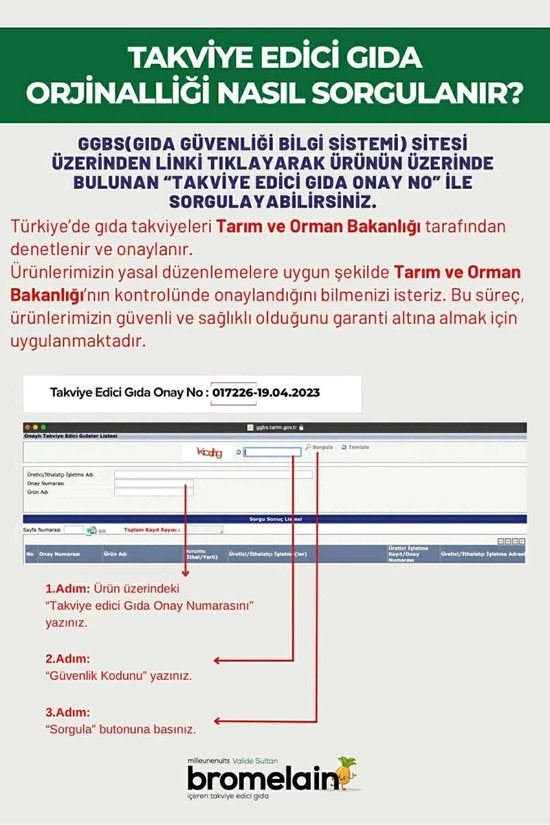 Valide Sultan - Bromelaïne voedingssuplement met Quercetin + L-Carnitine + Glucomannan 60 Tabletten - Spijsvertering / Energie & Gewichtsbeheersing