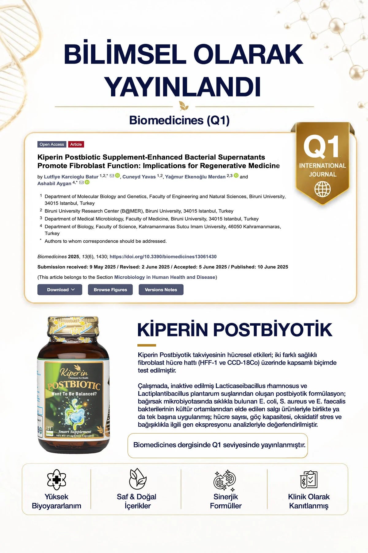 Kiperin Postbiotic 21 Capsules | Lactobacillus Rhamnosus & Lactobacillus Plantarum | 10 Miljard Postbiotische Micro-organismen per Dag