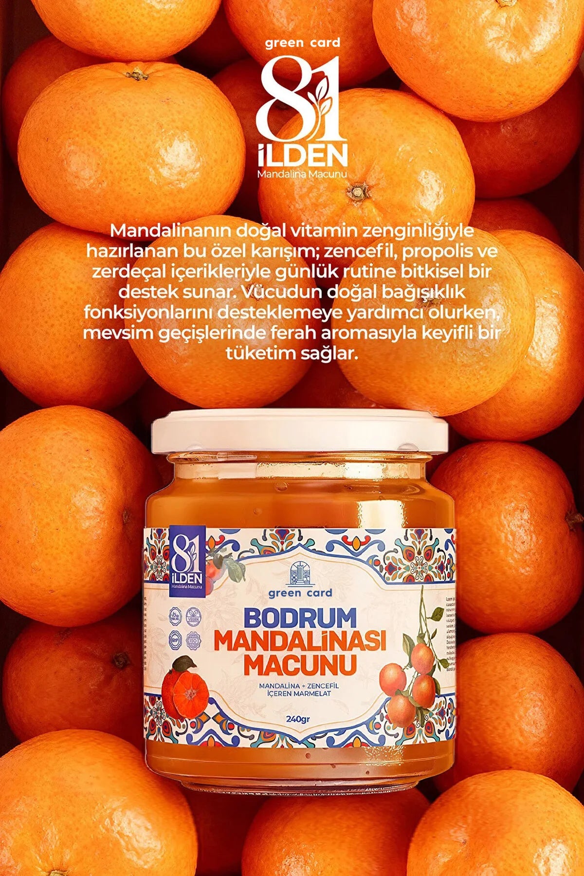 81 ILDEN Bodrum Mandarijnen Pasta 240g – Natuurlijke Energie & Immuun Ondersteuning met Gember, Kurkuma & Vitamine C