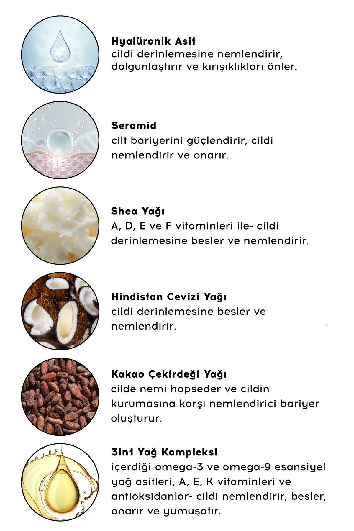 Cream Co. 3-in-1 Lip Balm – Hydraterend, Verzorgend & Glanzend – Hyaluronzuur & Ceramiden – 10 ml