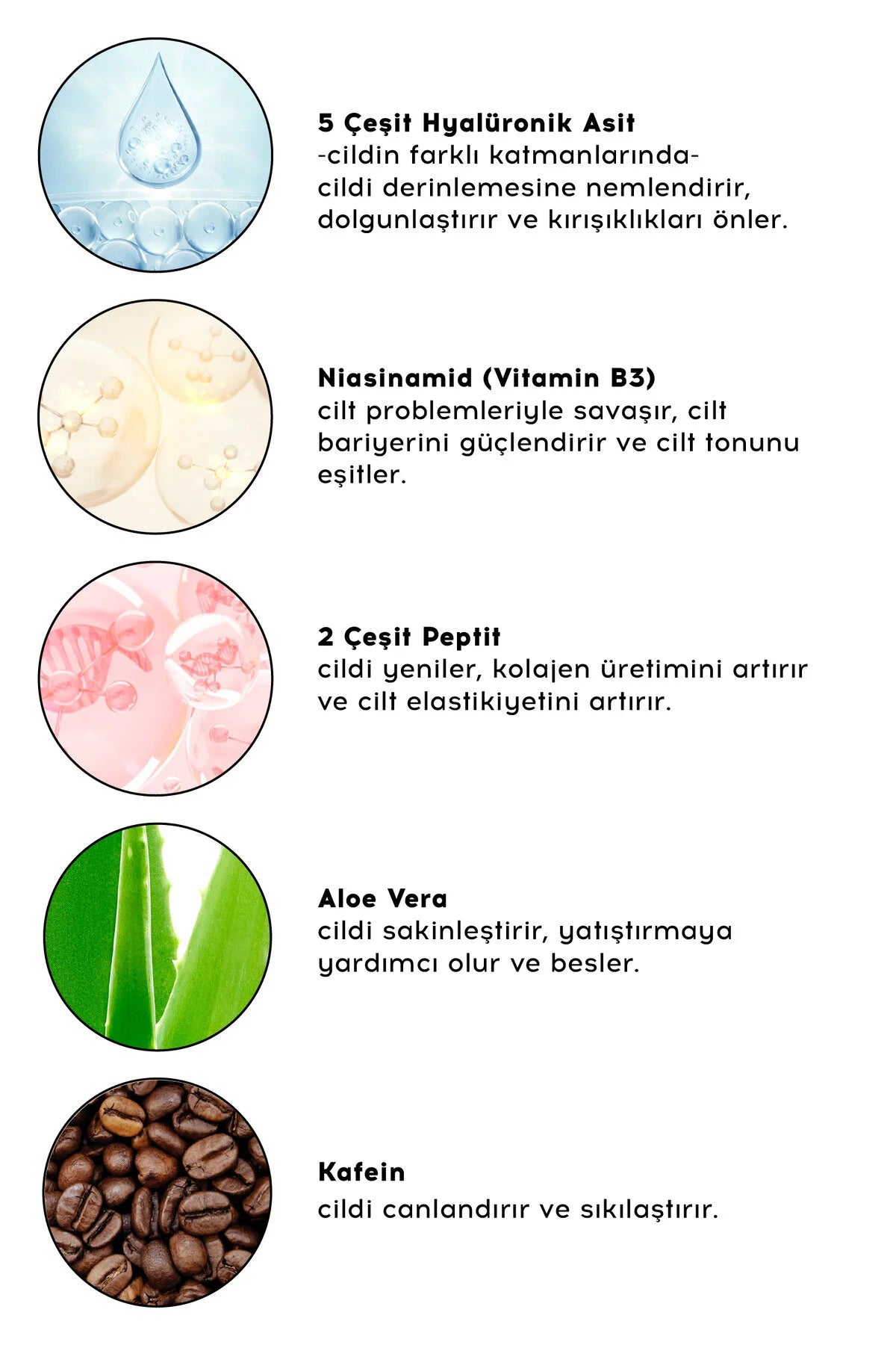 cream co. Hyaluronic Acid & Peptide Serum – 5 Soorten Hyaluronzuur, Niacinamide & Peptiden – 30 ml