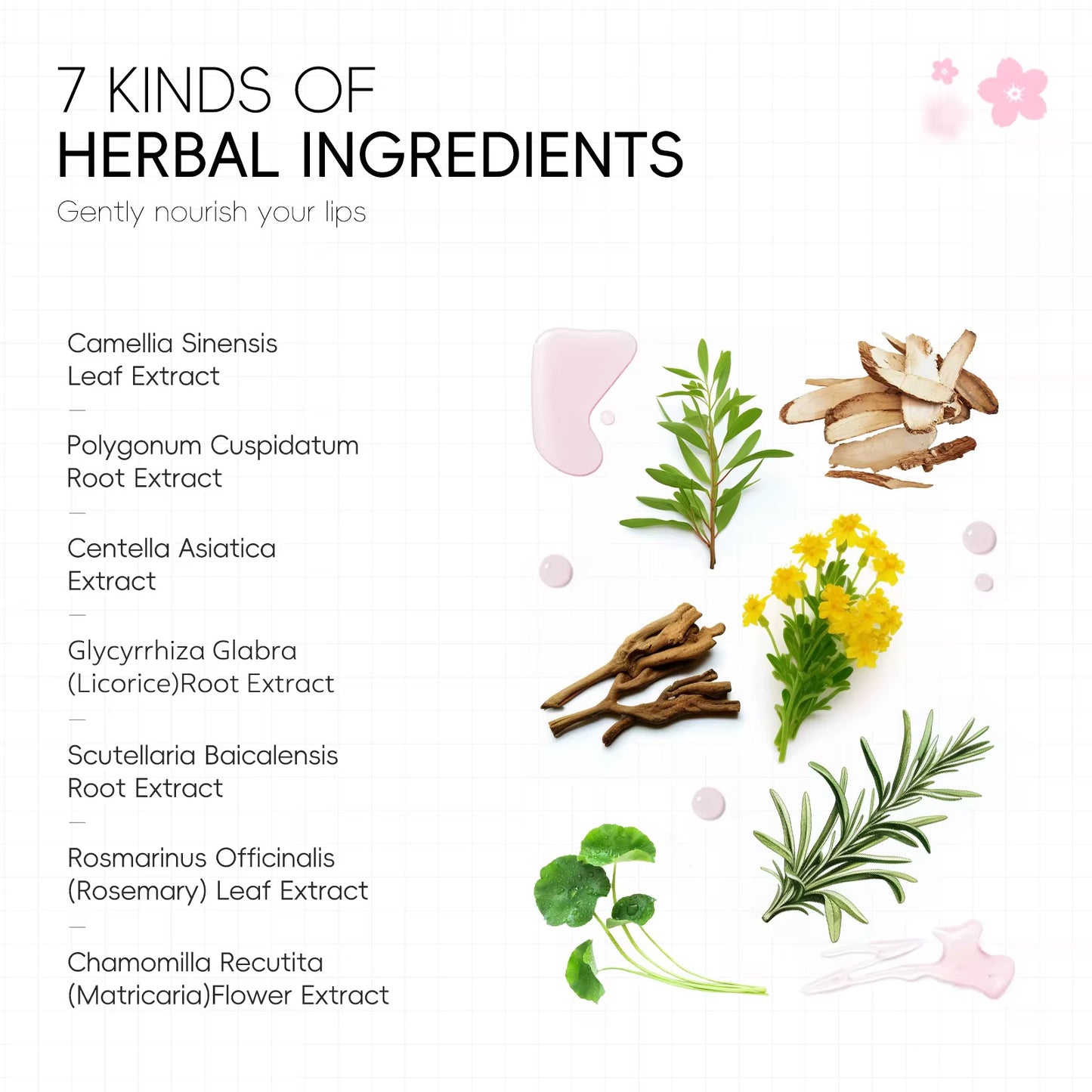 LAIKOU Japan Sakura Hydrating Lip Mask - 2 stuks Moisturizes Nourishes and Smooths - Zacht Kersenbloesem Lipmasker Verzorging Hydraterend Diep Voedend Vermindert Fijne Lijntjes Verwijdert Dode Huid Uitdroging - 6 g