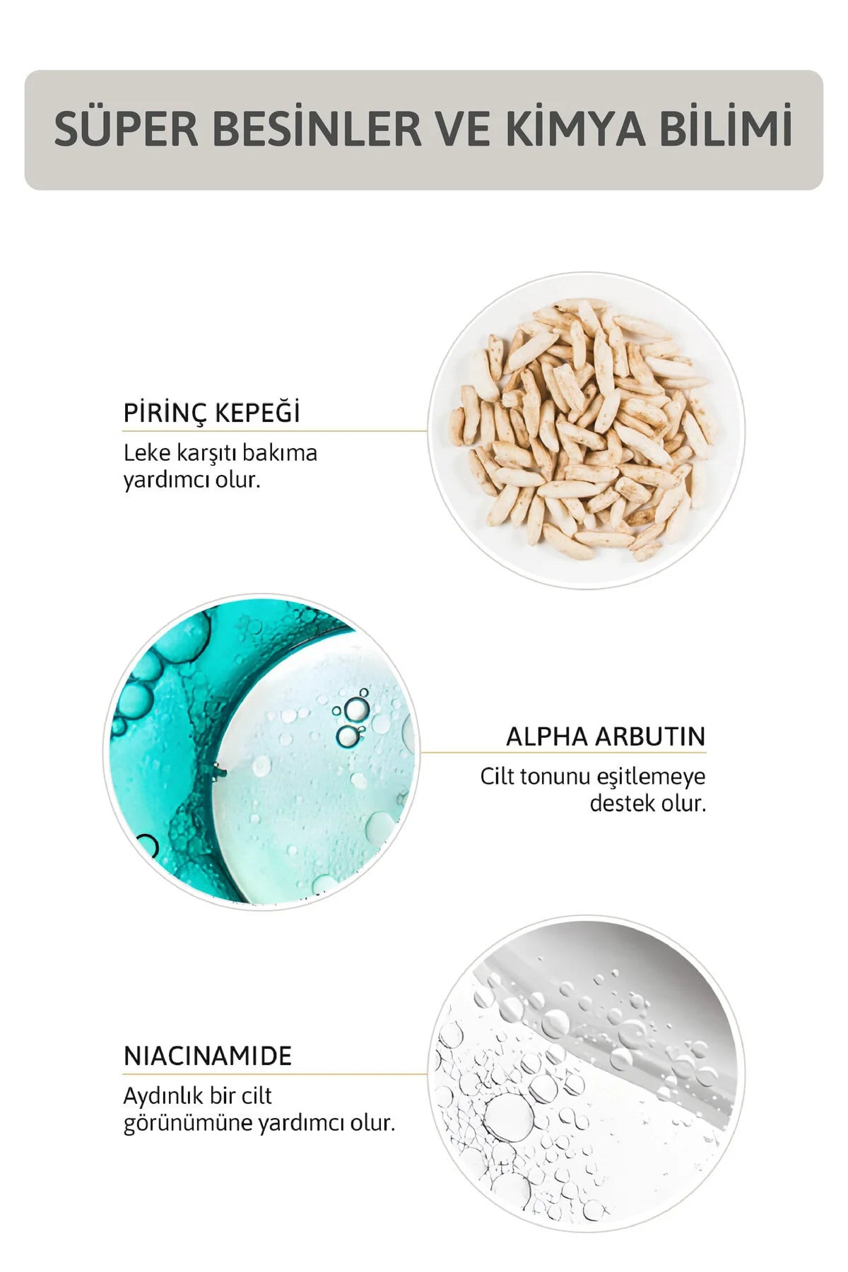 Ornate EvenTone Bosnian Moisture Cream - Verzorgende crème - Helpt zichtbaarheid vlekjes verminderen - Huidtint egaliseren - Effectief tegen Huidvlekken Kleurverschillen Acnelittekens - Rice Bran Arbutine Niacinamide - Alle huidtypen 50 ml