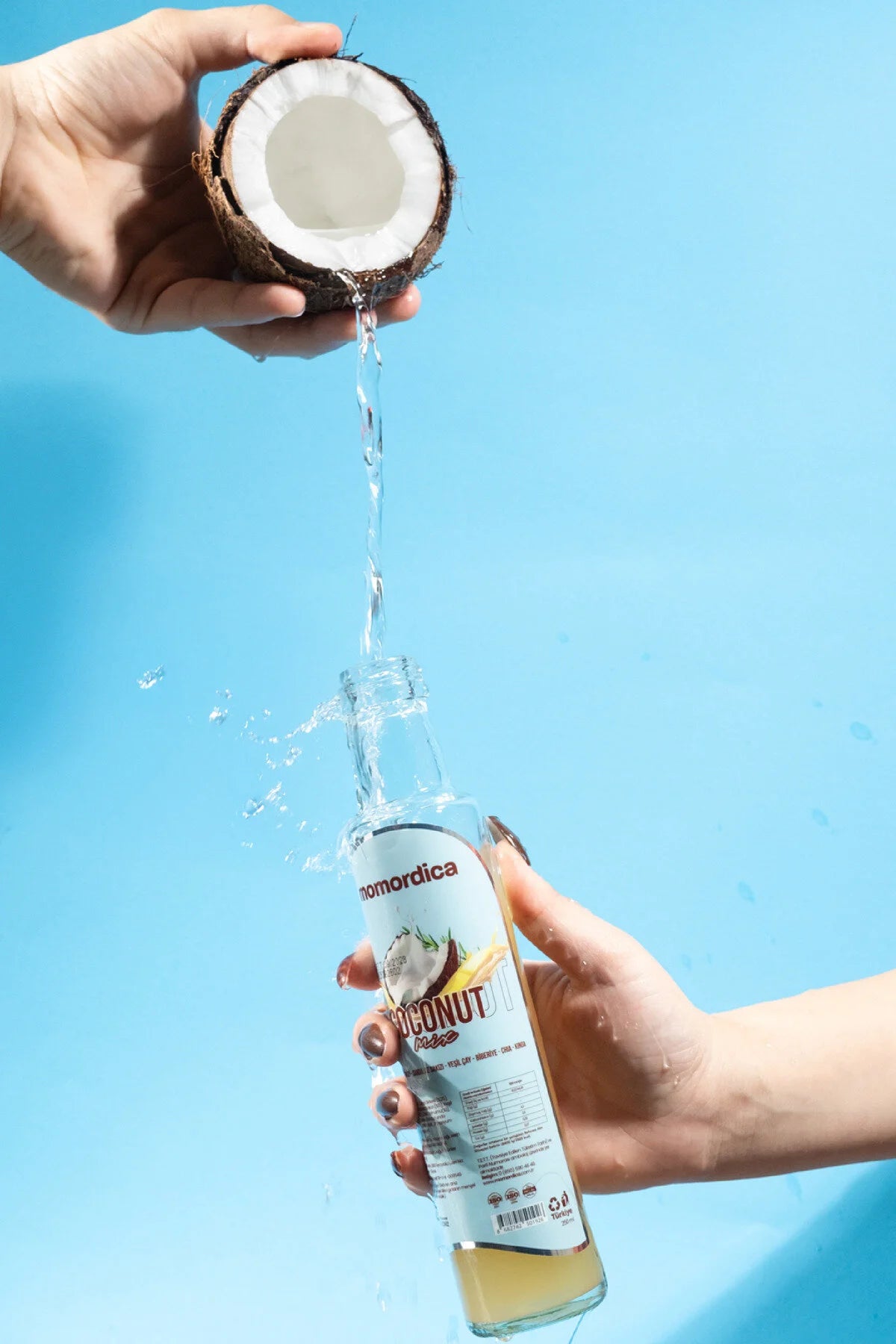 Momordica Coconut Mix - Verfrissende Kokosdrank met Groene Thee / Chia & Quinoa / Sandalozhars & L-Carnitine - 1 Fles van 250 ml