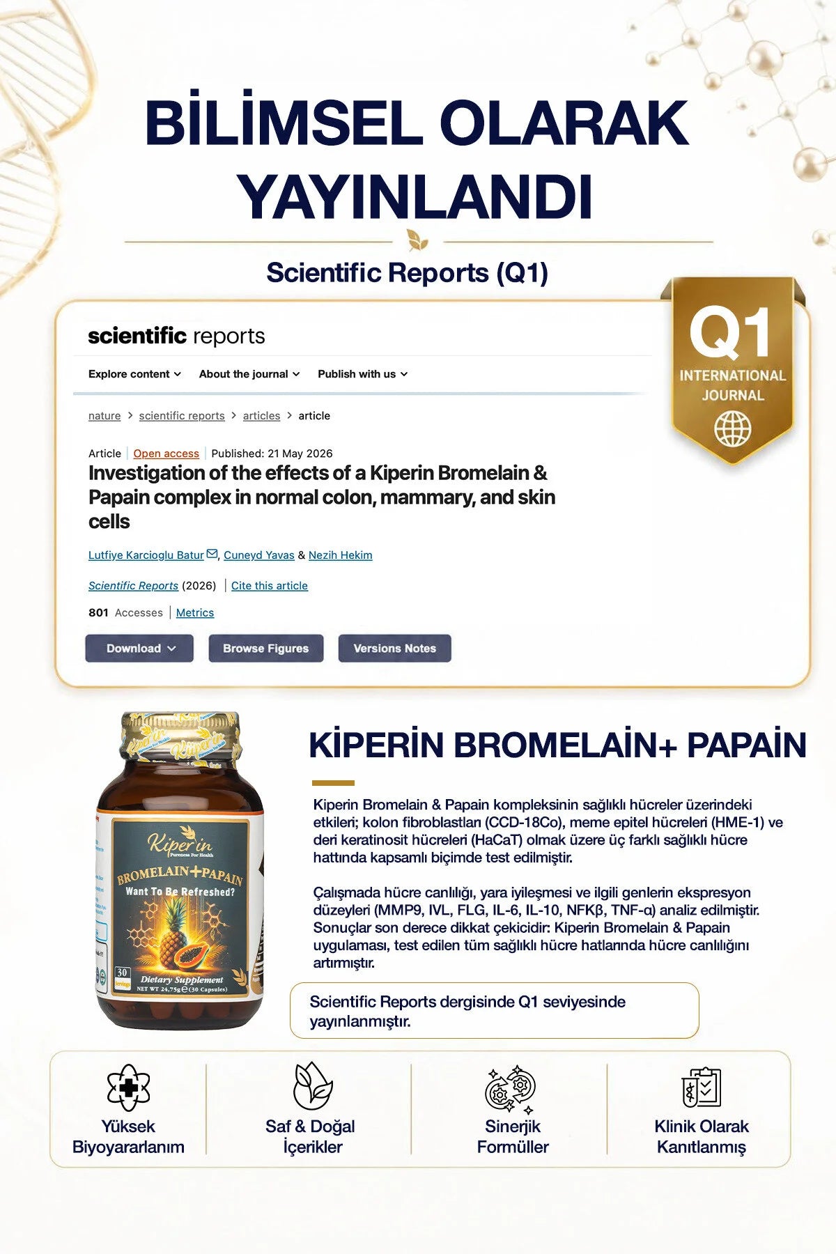 Kiperin Bromelain + Papain – Bromelaïne 500 mg & Papaïne 200 mg – 2500 GDU – Voedingssupplement – 30 Capsules