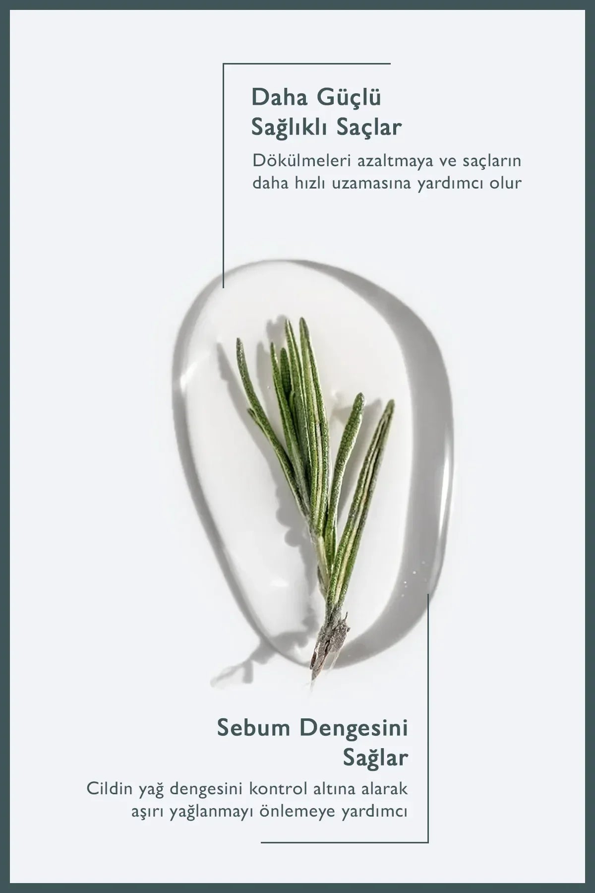 Rivance Rosemary (Rozemarijn) Shampoo Anti-haaruitval & vettigheid - Versterkt - Geeft volume & Verbetert gezondheid van het haar - Effectieve & Revitaliserende sulfaatvrije rozemarijnshampoo tegen haaruitval - Dermatologisch getest - 250 ml