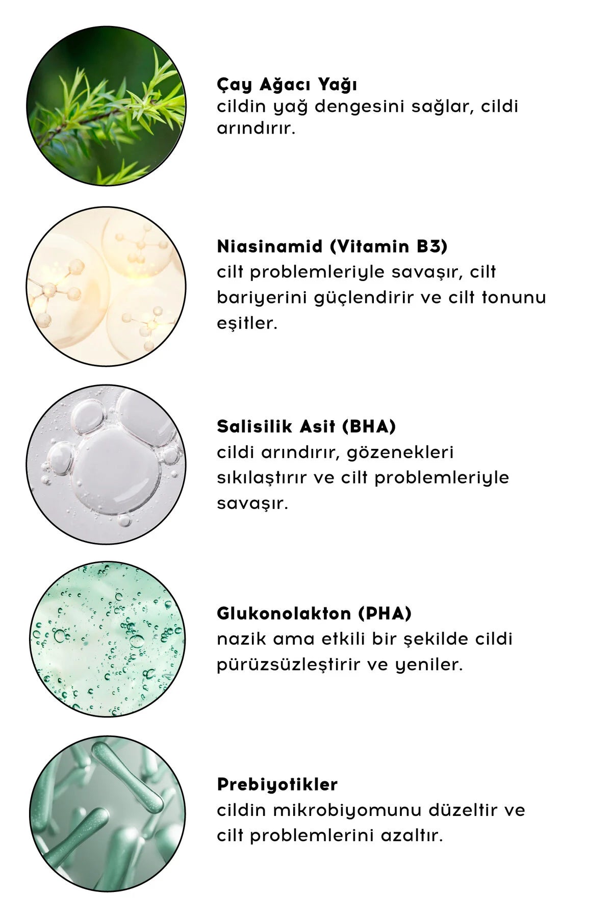 Cream Co. BHA/PHA Niacinamide Toner – 1% Salicylzuur, 1% Niacinamide & Tea Tree Oil – 200 ml