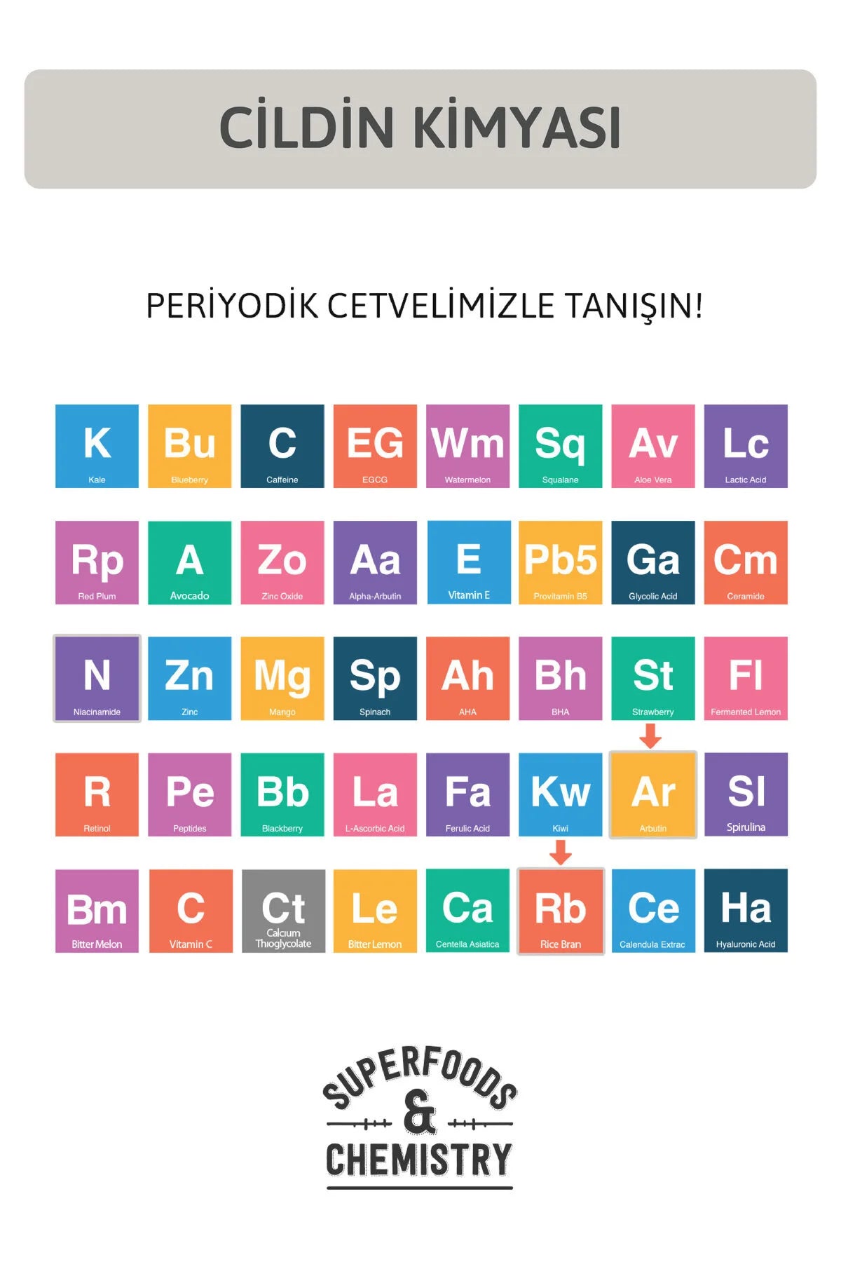 Ornate EvenTone Bosnian Moisture Cream - Verzorgende crème - Helpt zichtbaarheid vlekjes verminderen - Huidtint egaliseren - Effectief tegen Huidvlekken Kleurverschillen Acnelittekens - Rice Bran Arbutine Niacinamide - Alle huidtypen 50 ml