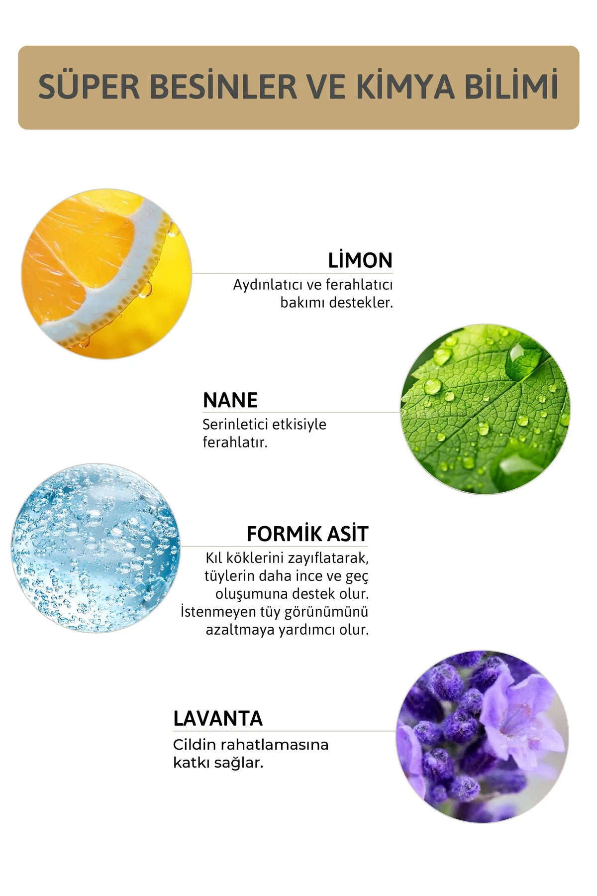 ORNATE Ant Egg Oil VerzorgingsOlie met Mieren Ei 20 ml Veganistisch Mierenzuur Aloë Vera Kokosolie & Sesamolie Droge en Gevoelige Huid