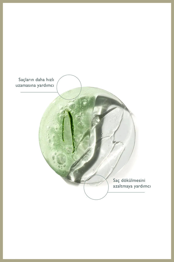 Rivance Haar Tonic Anti-verlies & Revitaliserend - Zuiverend - Hydraterend met 100% natuurlijke puur rozemarijn - Haartonic die helpt bij snelle haargroei 100 ml