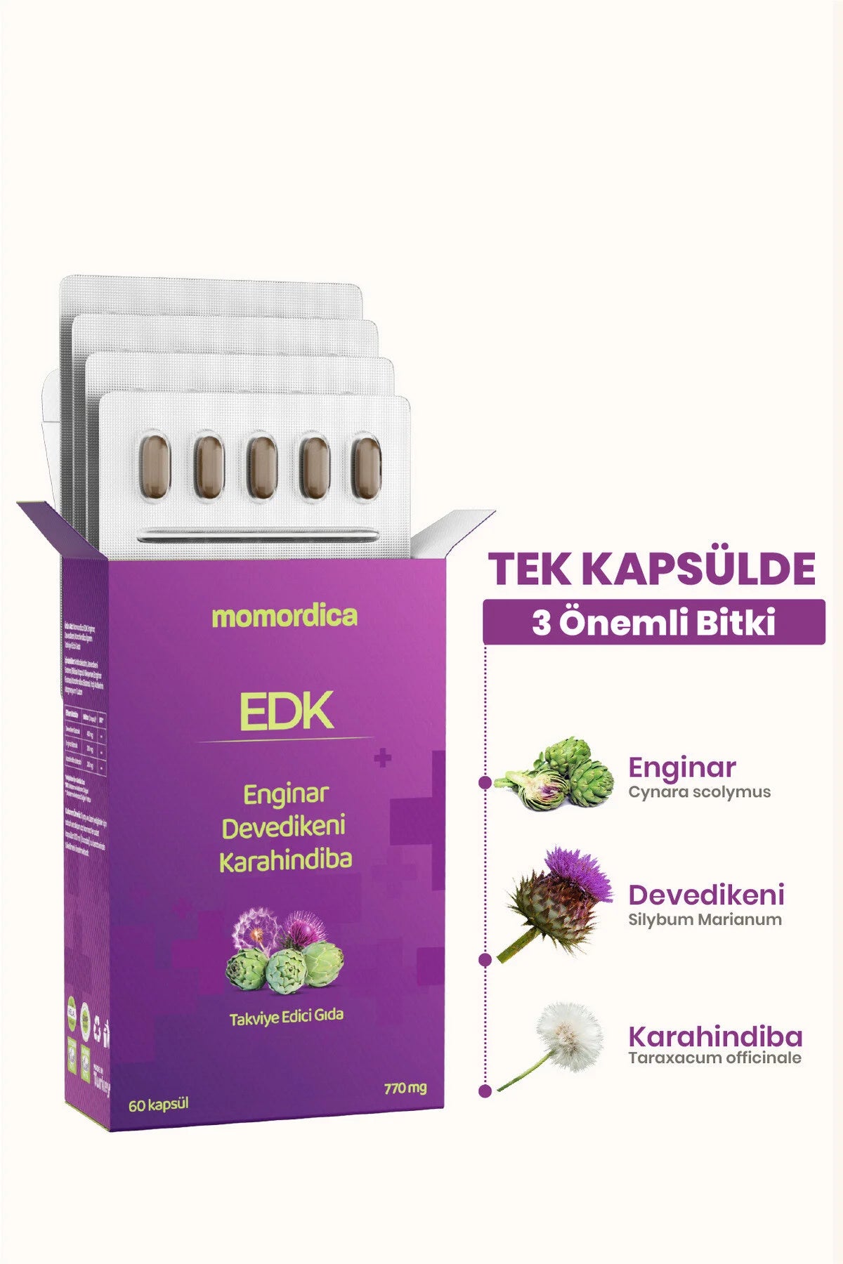 Momordica EDK Supplement – Artisjok, Mariadistel & Paardenbloem Extract – 60 Capsules (770 mg)