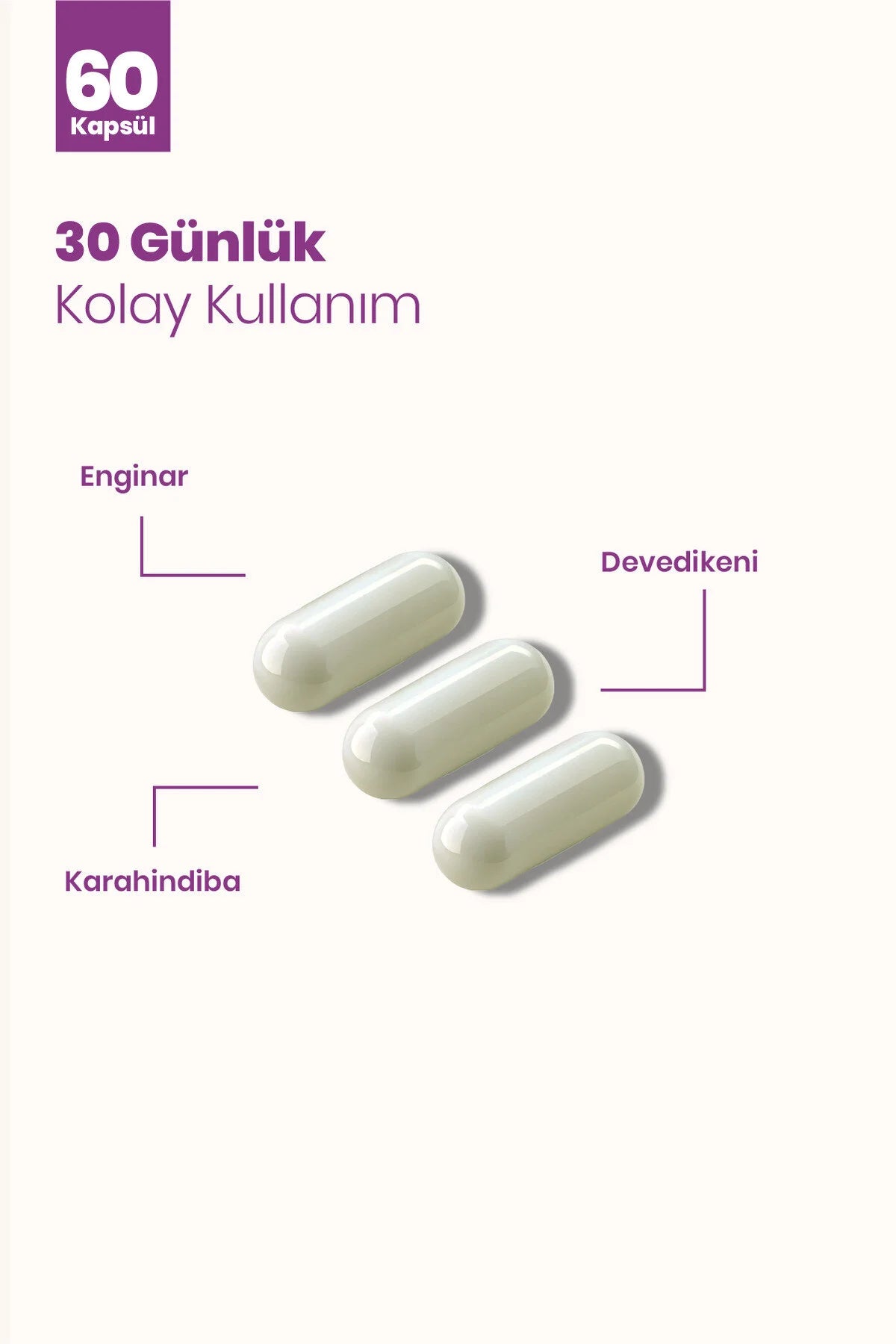 Momordica EDK Supplement – Artisjok, Mariadistel & Paardenbloem Extract – 60 Capsules (770 mg)