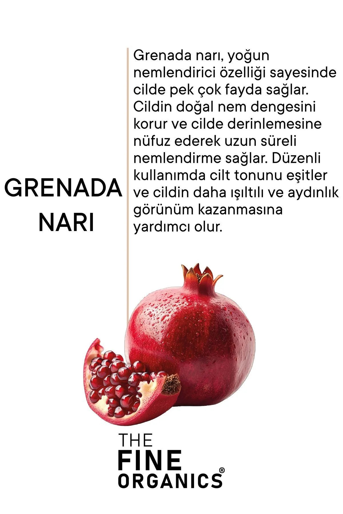 THE FINE ORGANICS Intensieve hydraterende gezichtscrème op waterbasis - 48 uur Effectieve bescherming - Glanzende en Verhelderende uitstraling - Egaliserend voor de teint - Extract van granaatappel uit Grenada - Alle huidtypes - 50 ml