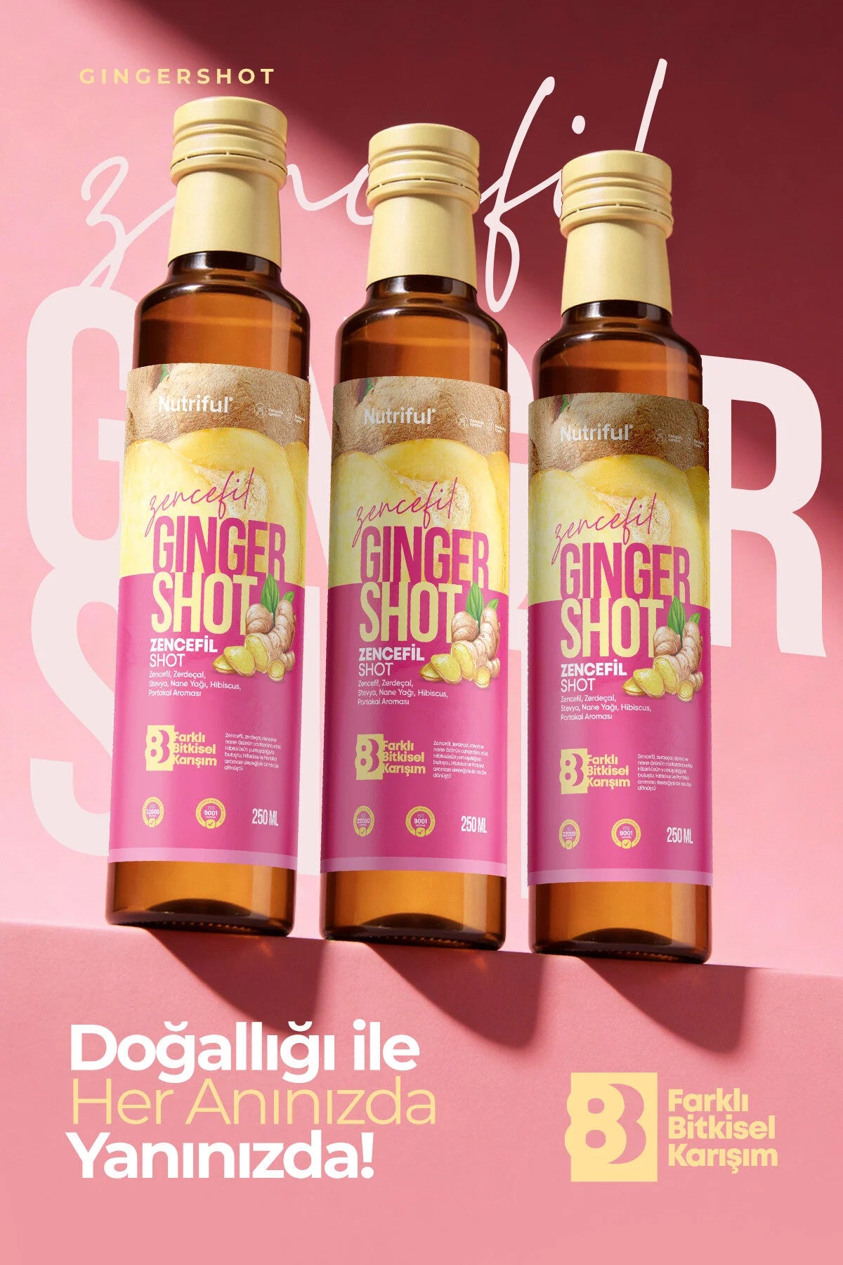 Nutriful Zencefil Ginger Shot – Met Gember, Kurkuma, Stevia, Muntolie & Hibiscus - Sinaasappelaroma - 250 ml