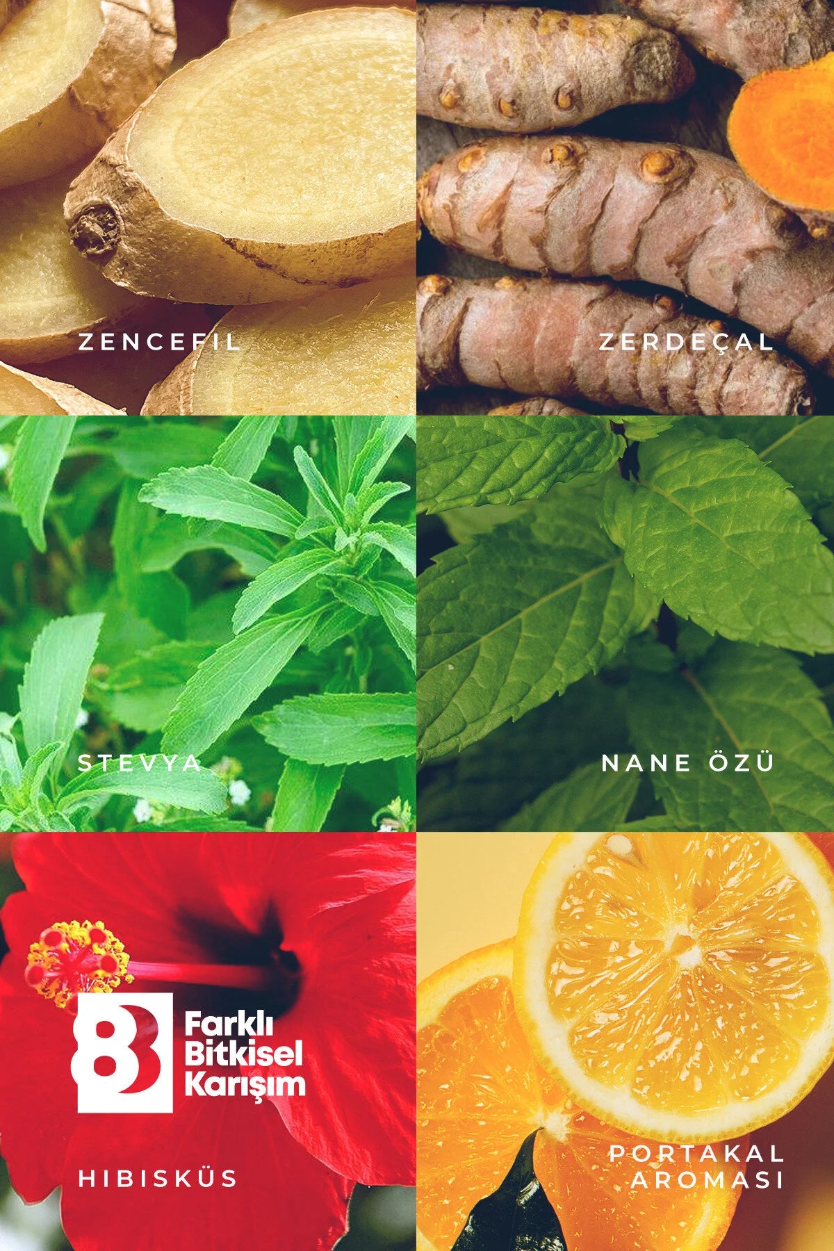 Nutriful Zencefil Ginger Shot – Met Gember, Kurkuma, Stevia, Muntolie & Hibiscus - Sinaasappelaroma - 250 ml