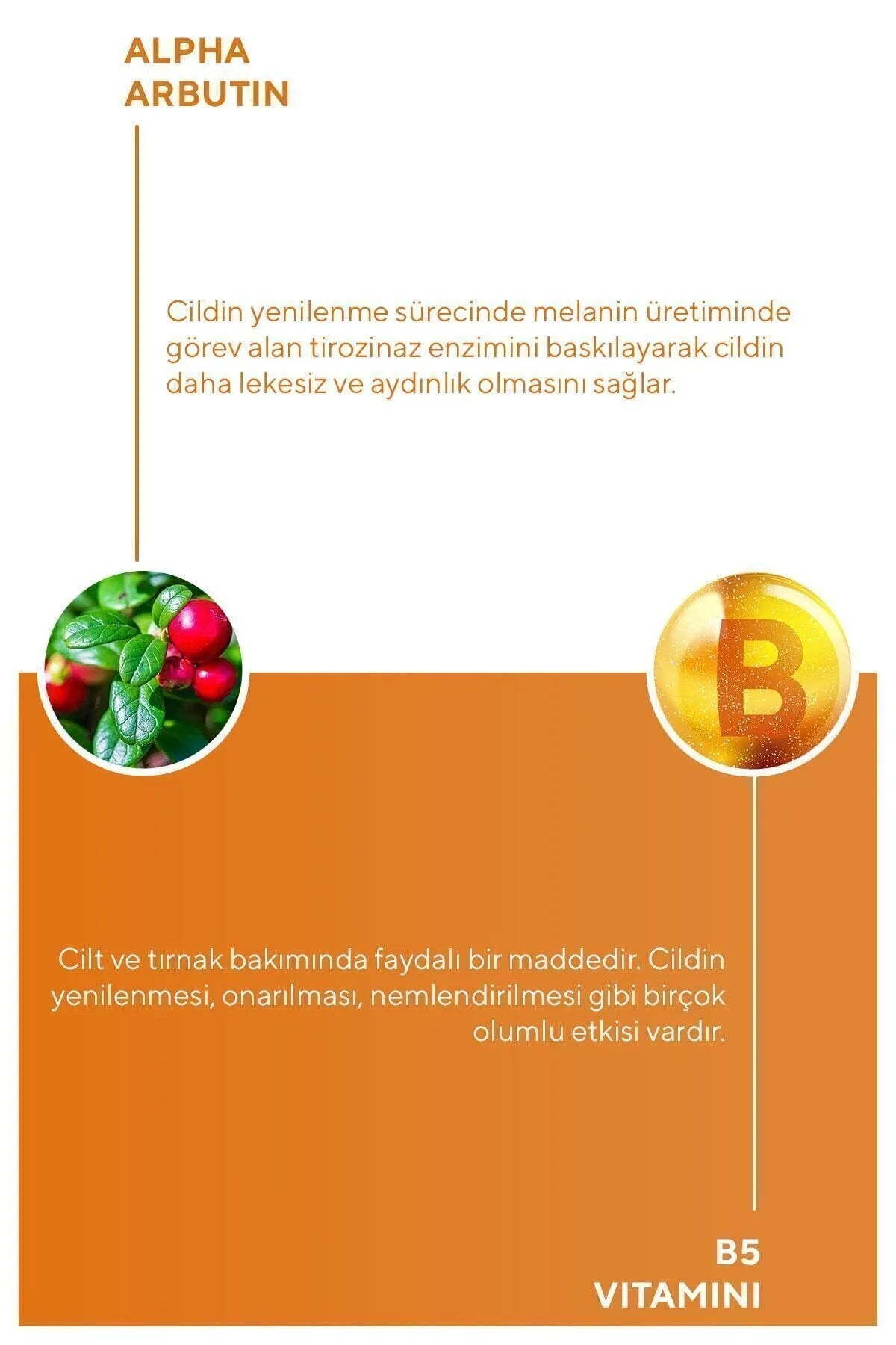 MiChael Lauren Skin Anti Blemish Sunscreen SPF 50+ UVA/UVB PA++++ - Anti-Blemish Moisturizer Verhelderende Zonnebrandcrème - Alpha Arbutine - Vitamine B - Huidvernieuwing - Herstel & Hydratatie - Alle huidtypen - 50 ml