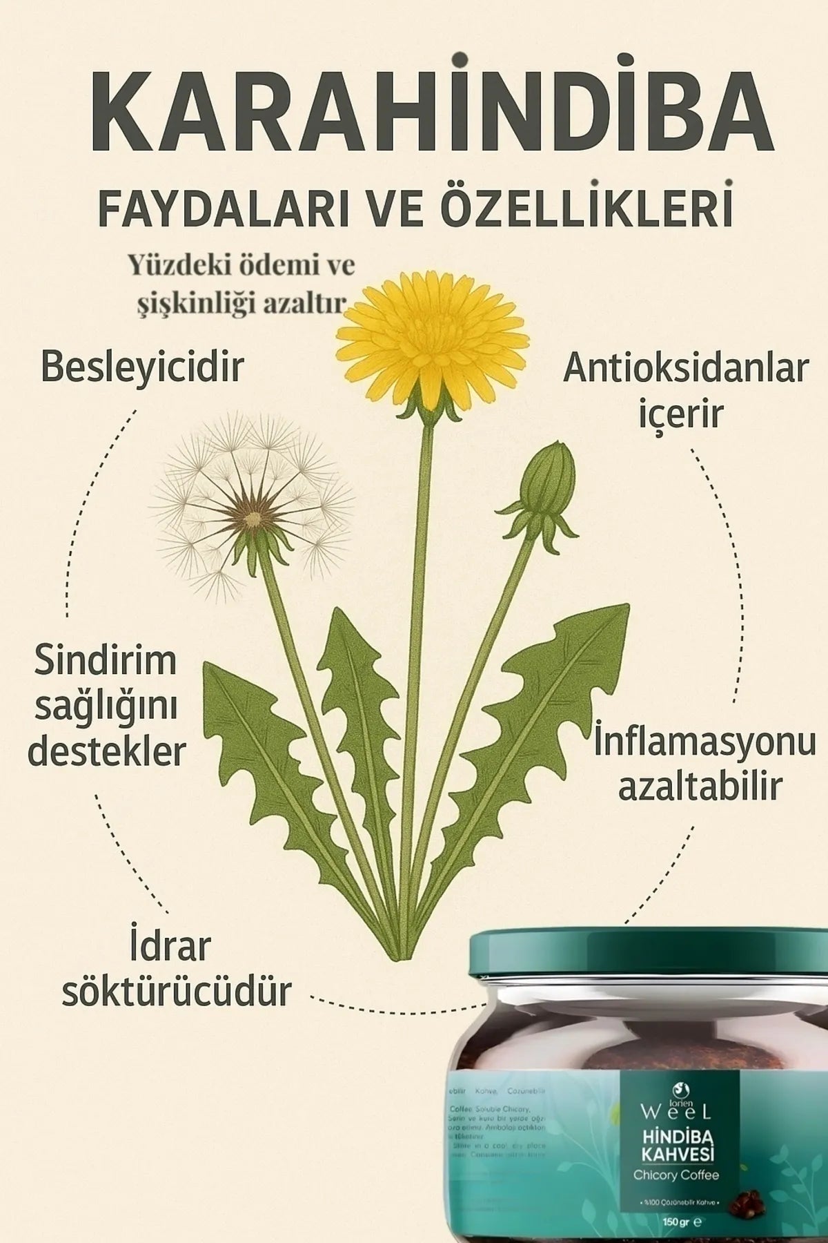 Lorien Weel Paardebloem (Karahindiba) Koreaanse Cichorei Detox Koffie - Granulaire Koffie - Inuline - Prebiotische koffie - Natuurlijke energie - Hoge Vitamine C - Immuunvriendelijk - 150 gr