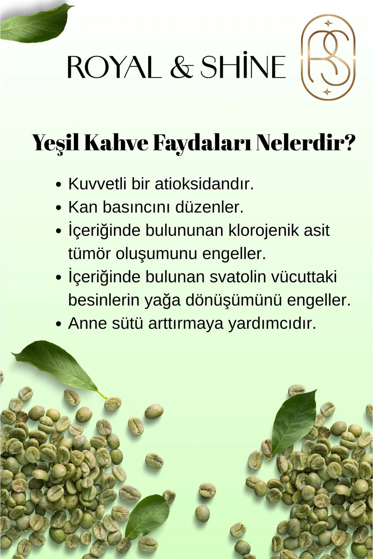 Royal and Shine Koffie Detox - Latte Koffiemix met groene koffie (yesil kahve) en artisjok (enginar) - extract Geschikt ook voor moeders die borstvoeding geven en voor gebruik vanaf de zwangerschap - 20 stuks