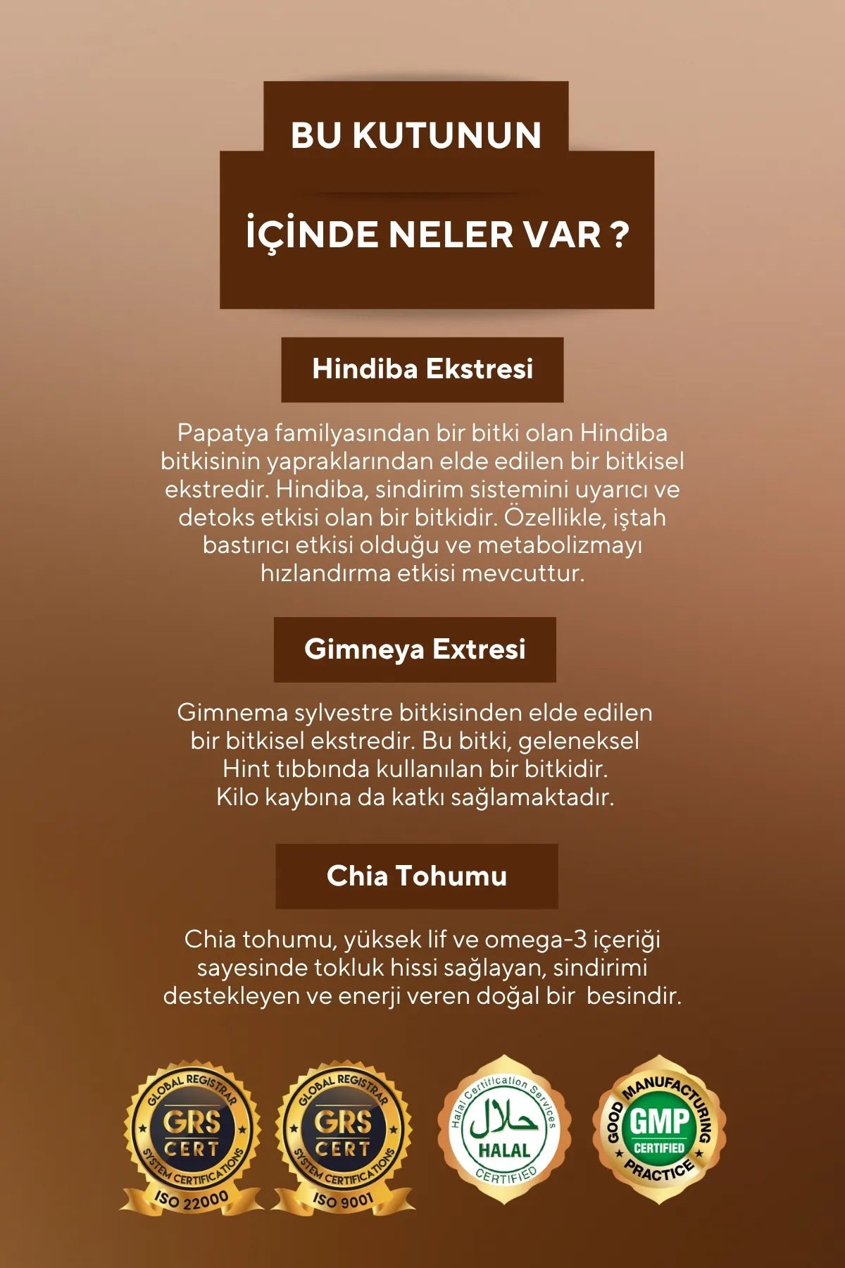 Vita Ceel Coffee Detox Koffie met Hindiba (Cichorei) Oploskoffie - Gymneya - Chia-extract - L-Carnitine voor 30 dagen 120 gr