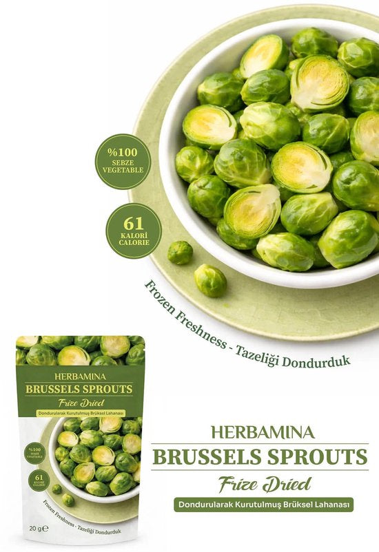 Herbamina Gevriesdroogde Spruitjes Snack 20g – Freeze Dried Brussels Sprouts – 100% Groente – Vegan – Zonder Toegevoegde Suiker