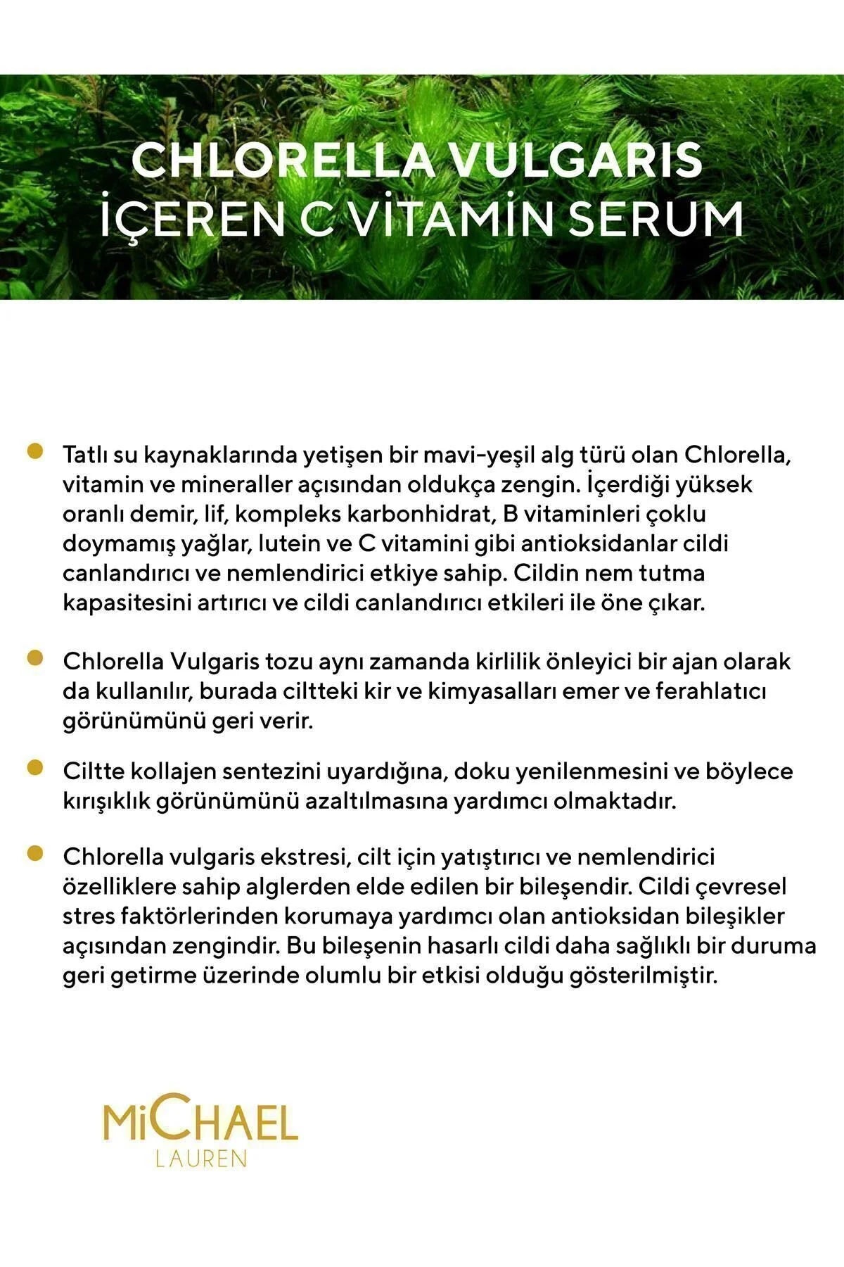 MiChael Lauren Serum Anti-vlekken Chlorella Algenextract 20% Vitamine C Serum Plus + Ferulic Acid + Hyaluronic Acid (Chlorella vulgaris) Verzacht Hydrateert Vermindert lijntjes en rimpels Corrigeert ruwe huid geneest Acnevlekken en Littekens 30 ml