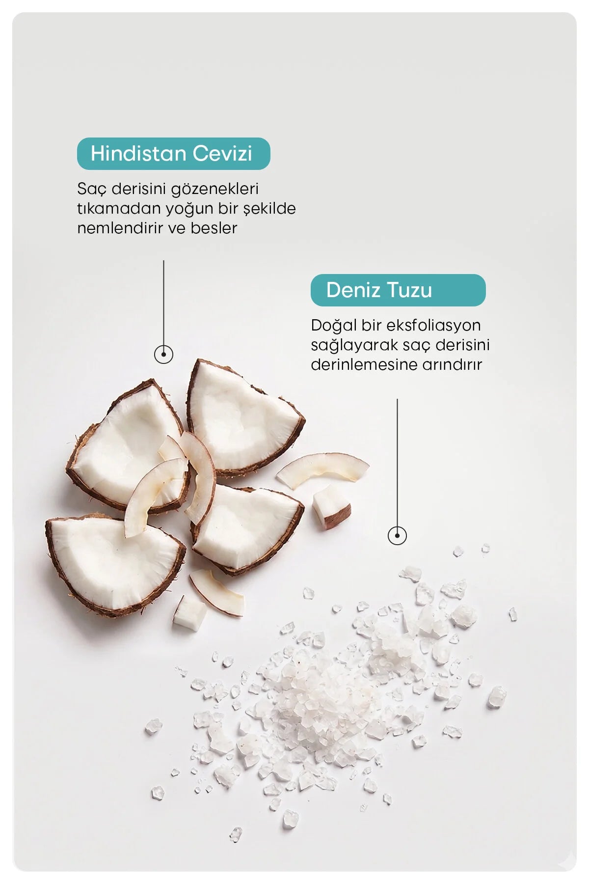 Rivance Coconut Hair Scrub – Hoofdhuid Scrub met Zeezout & Kokosolie – Diep Reinigende Scalp Scrub – Voor Fris en Volumineus Haar – 300 g